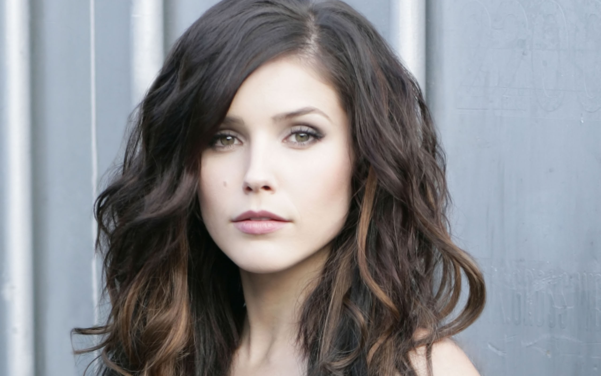 Sophia Bush portrait HD Wallpaper