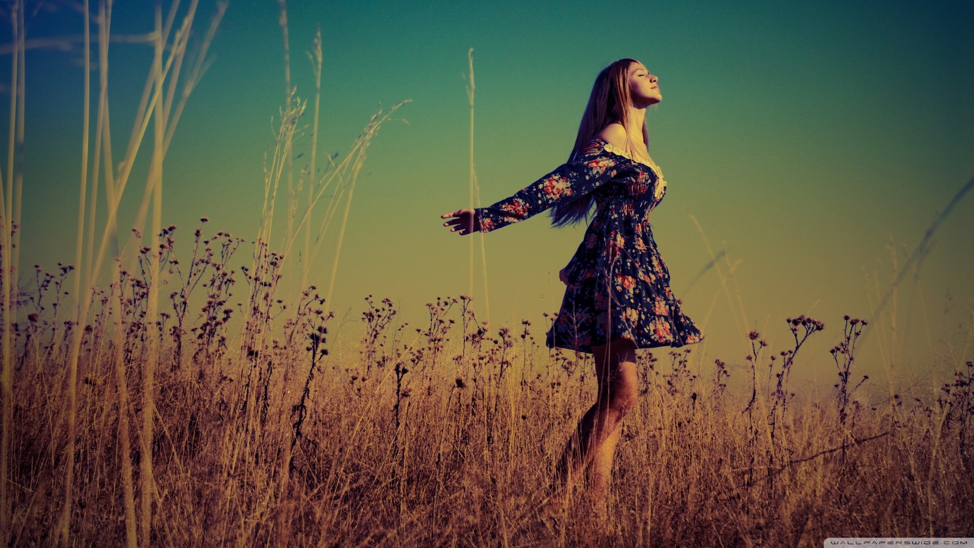 Woman in floral dress in a field HD Wallpaper