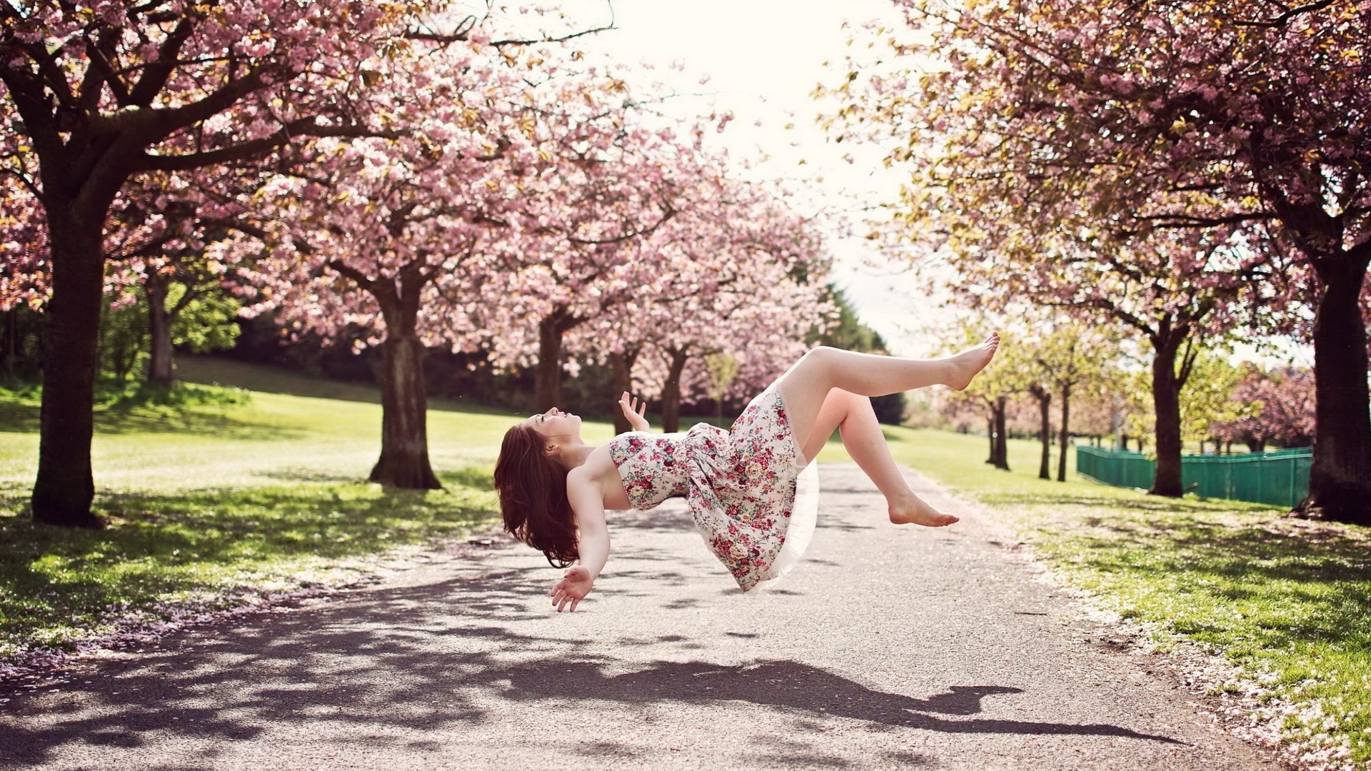 Woman floating in a park with cherry blossoms HD Wallpaper