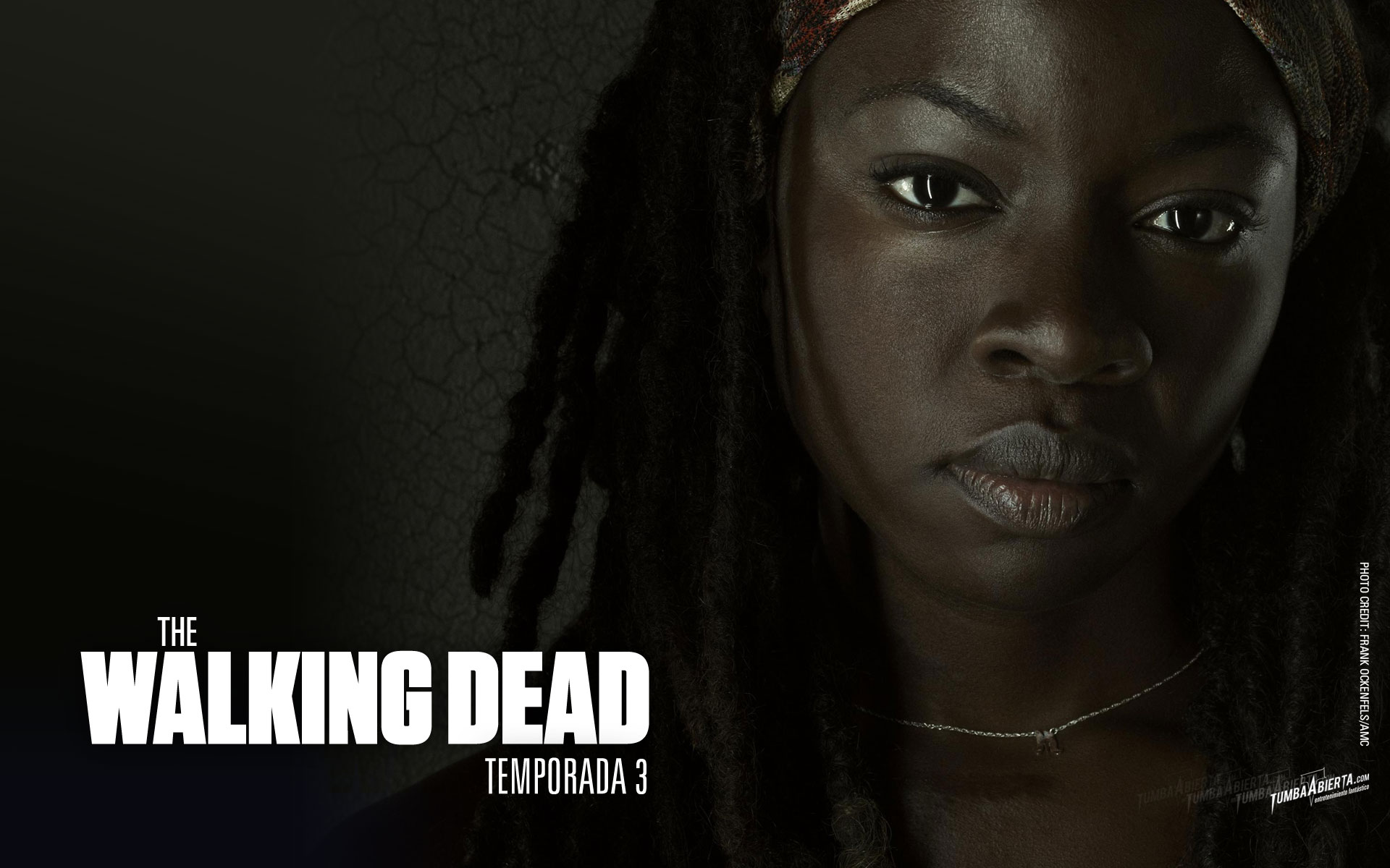 Michonne from The Walking Dead HD Wallpaper