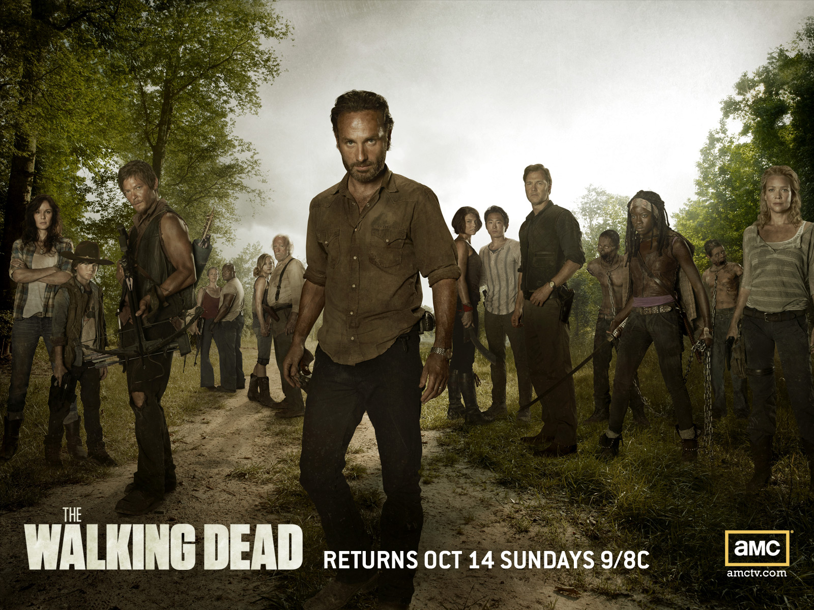 The Walking Dead cast HD Wallpaper