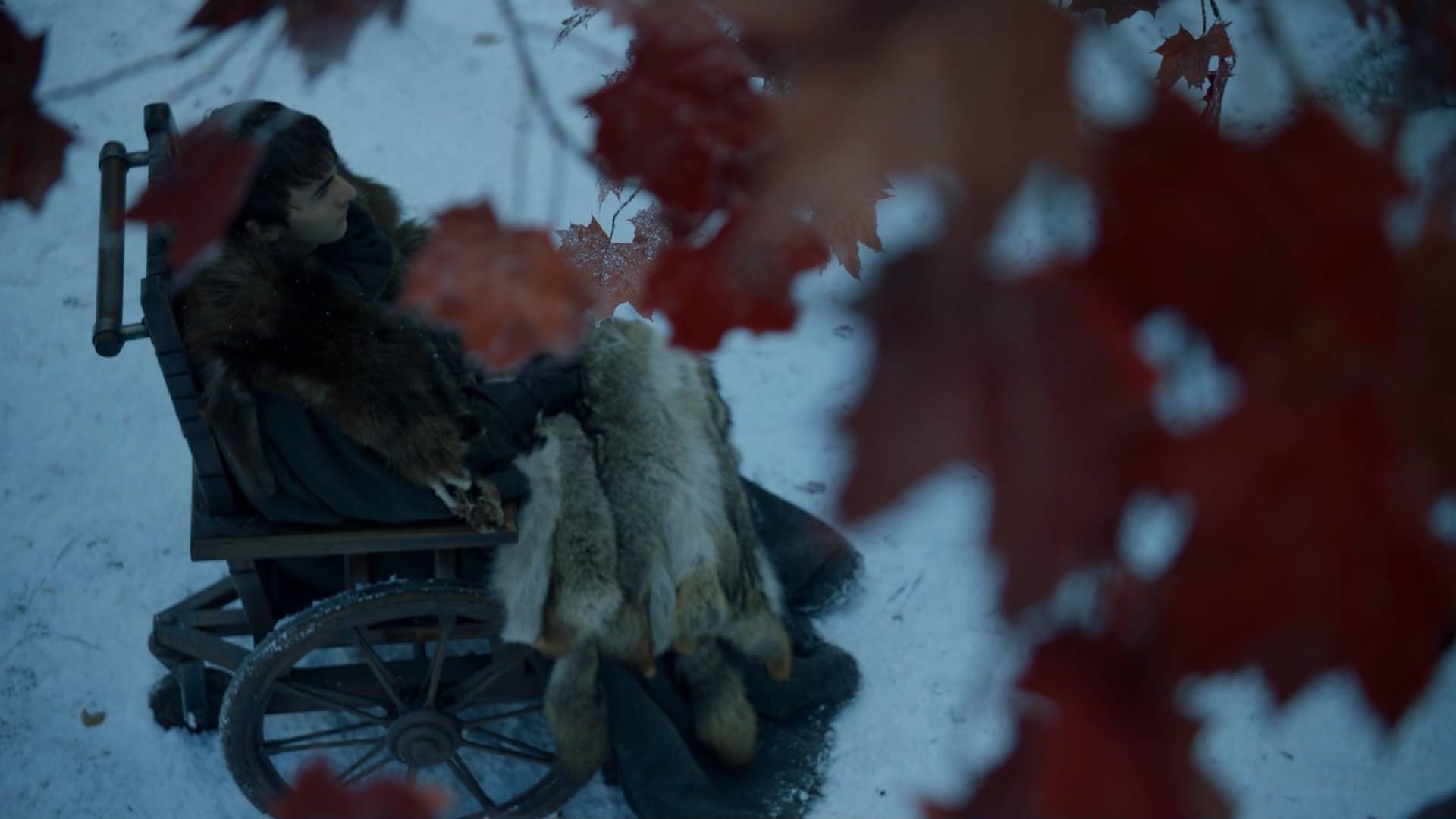 Bran Stark from Game of Thrones in a wheelchair HD Wallpaper