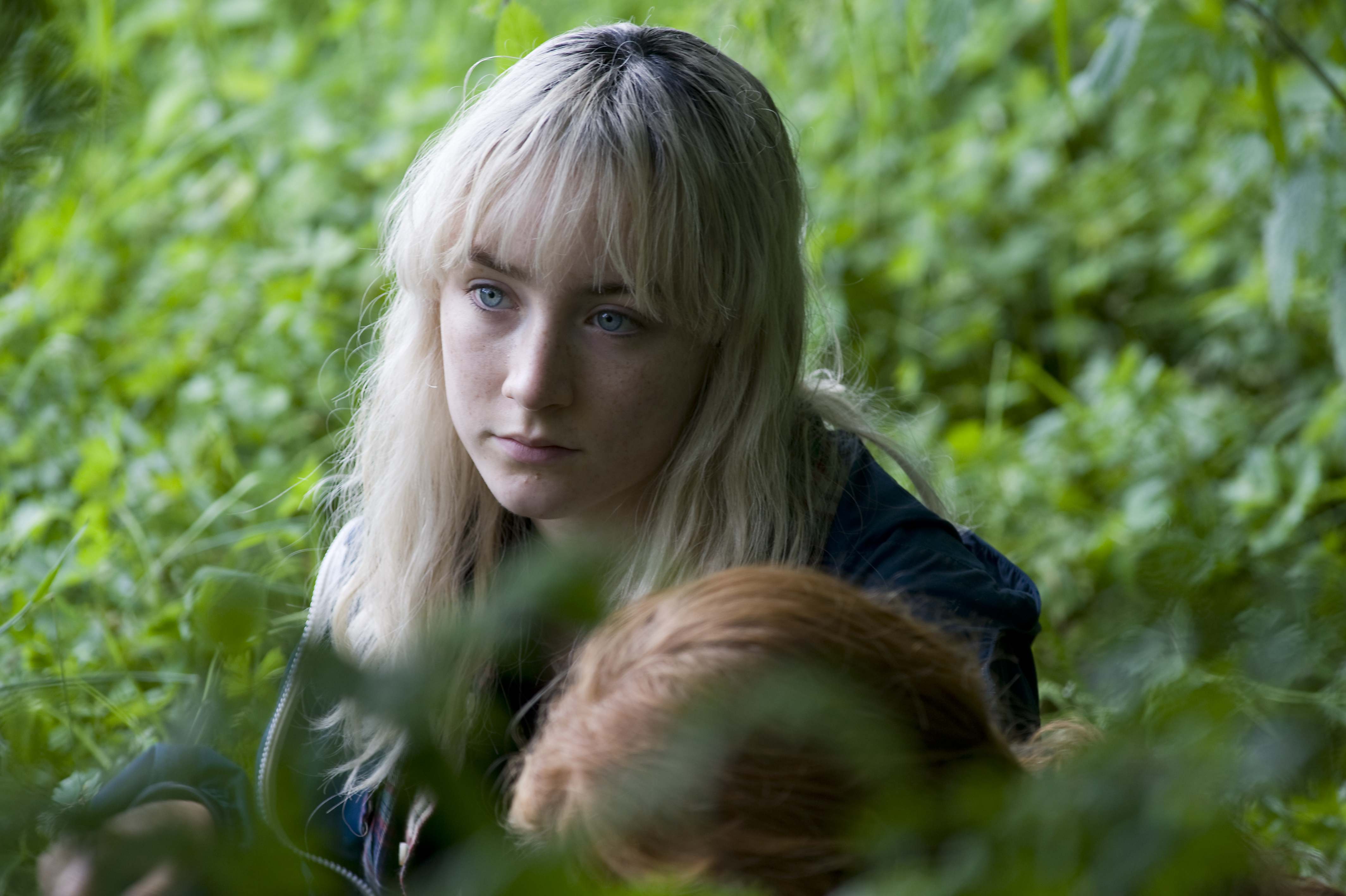 Saoirse Ronan in a forest HD Wallpaper