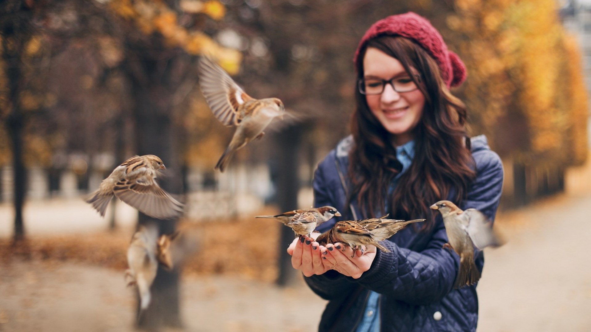 Girl feeding sparrows in a park HD Wallpaper