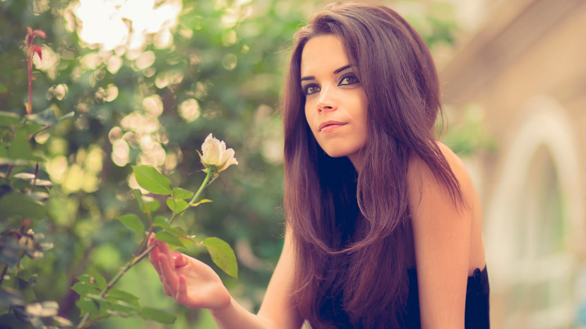 Woman touching a rose in a garden HD Wallpaper