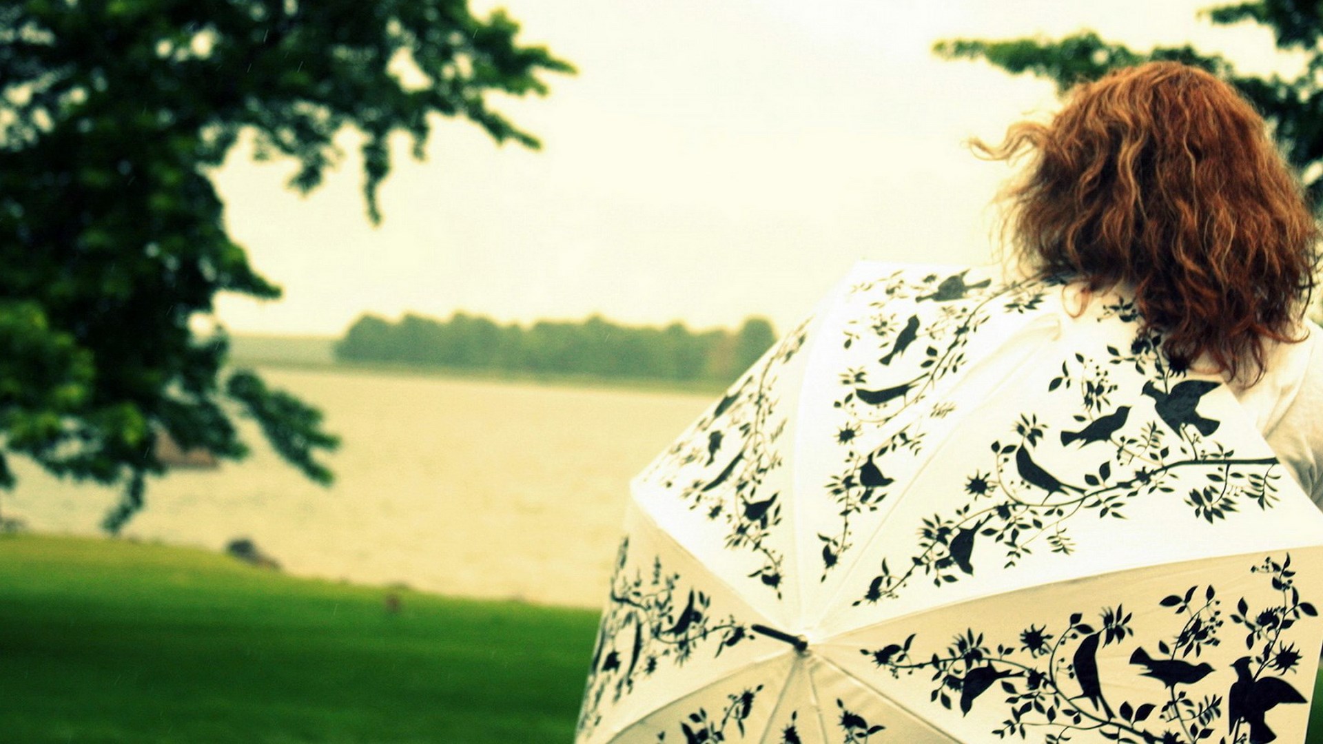 Woman with umbrella by a lake HD Wallpaper