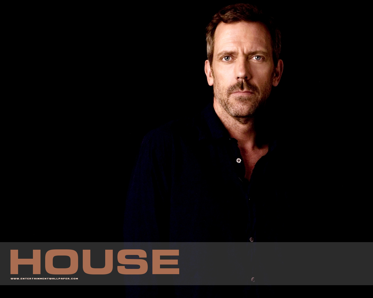Hugh Laurie as House HD Wallpaper