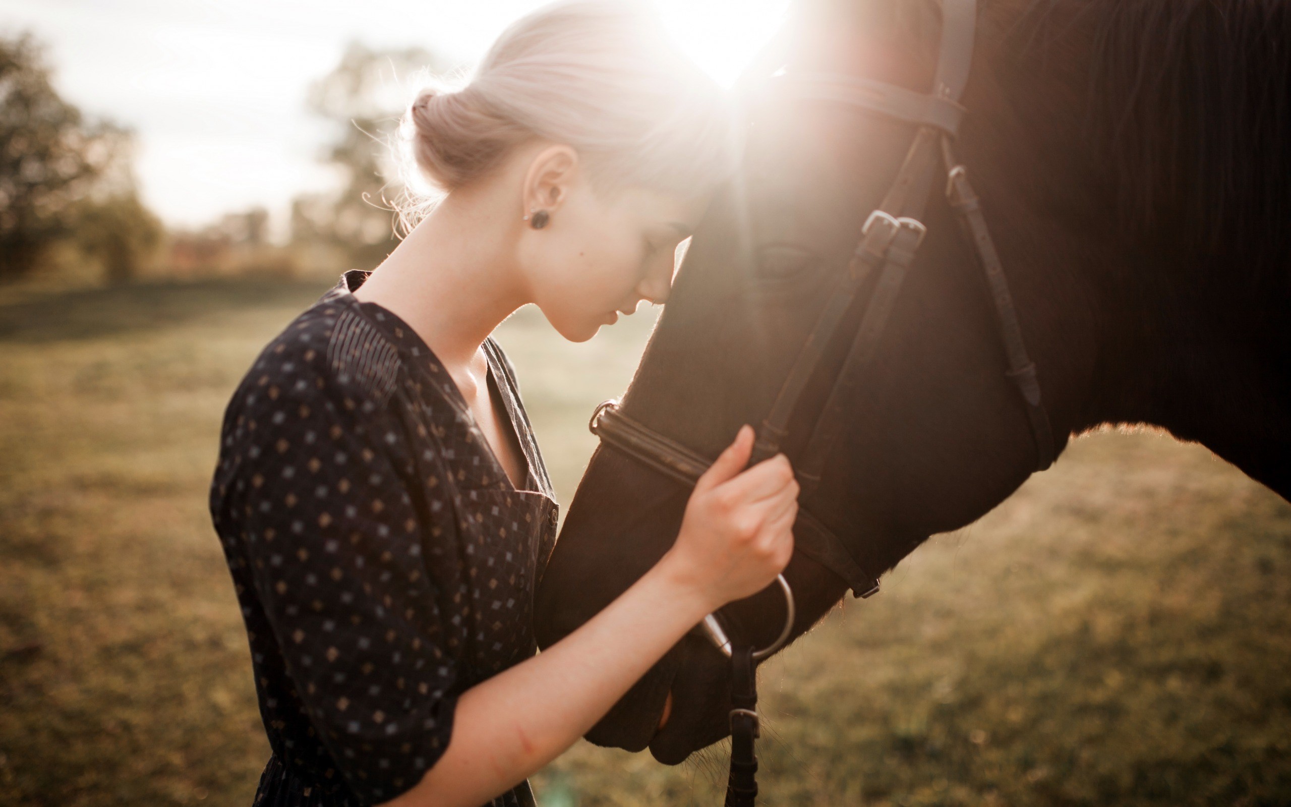 Woman and horse in a field at sunset HD Wallpaper