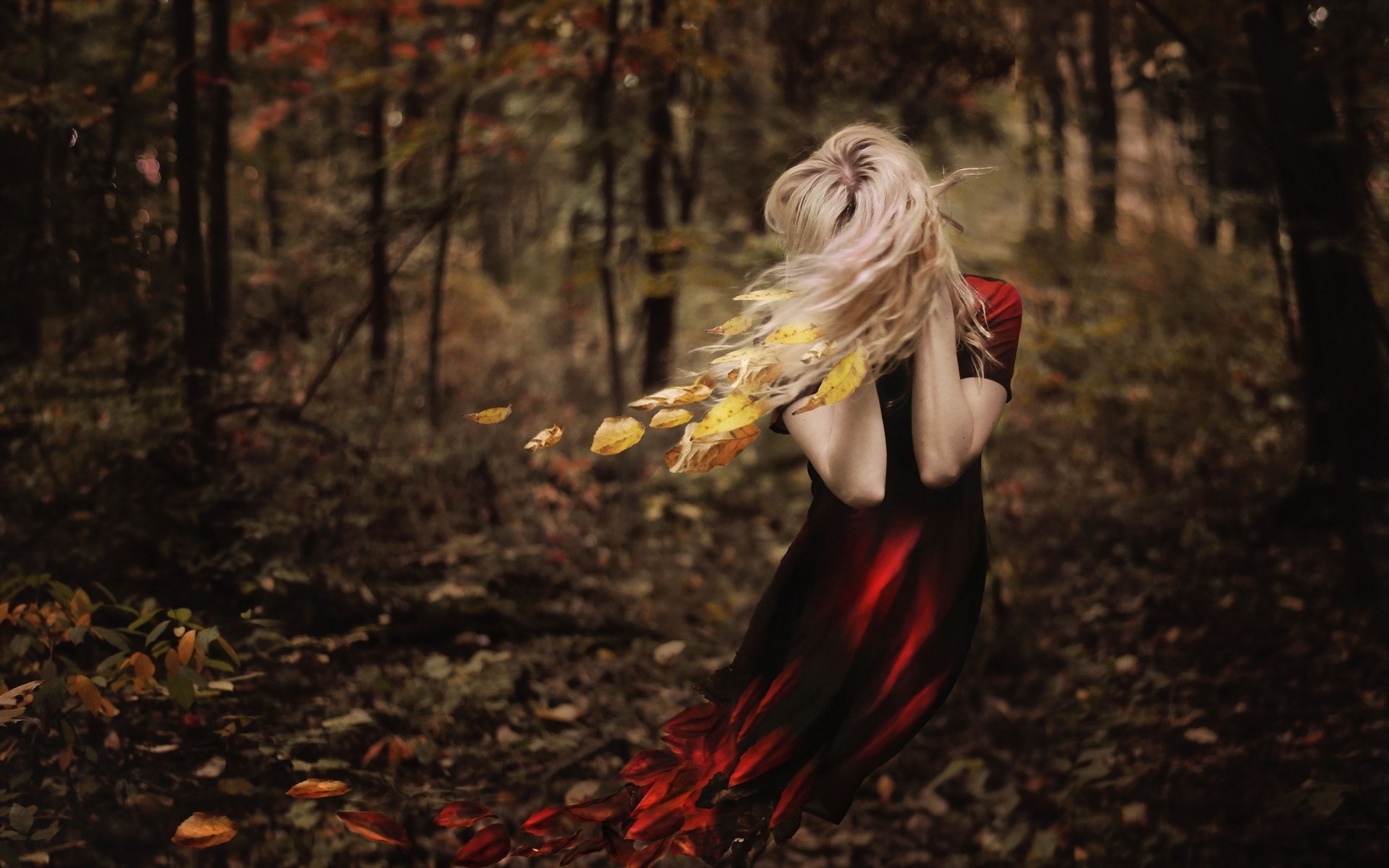 Woman with blonde hair in a red dress in a forest HD Wallpaper