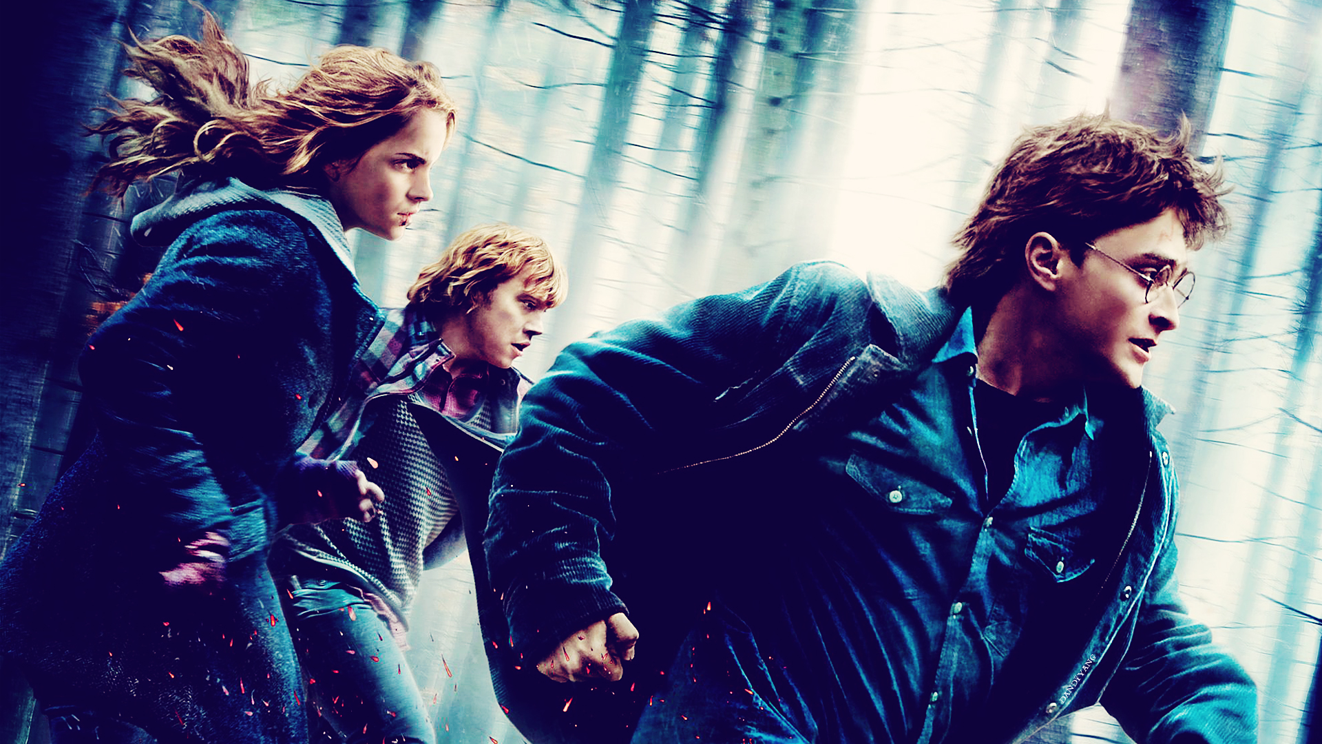 Harry Potter characters running through a forest HD Wallpaper
