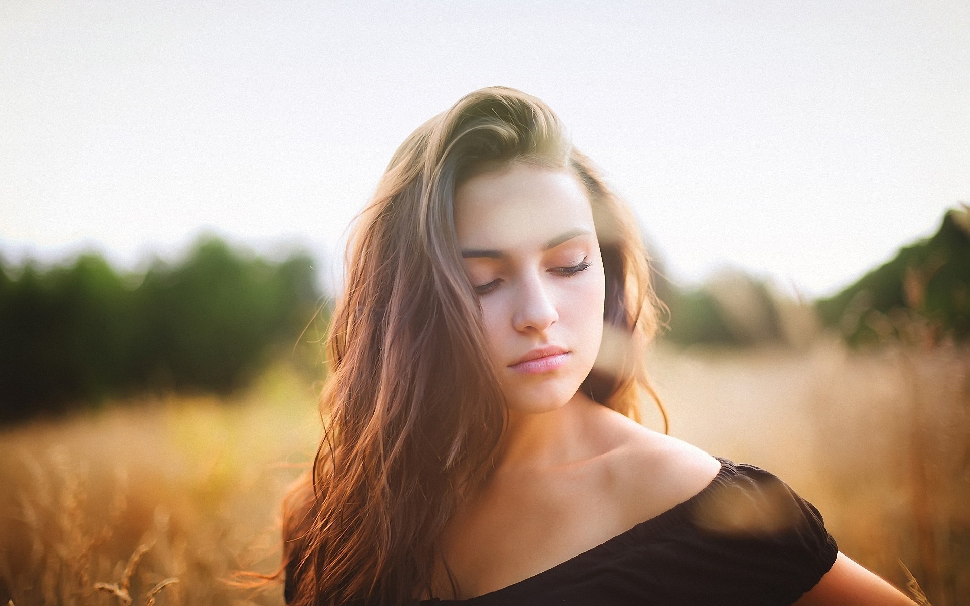 Woman with long brown hair in a field HD Wallpaper
