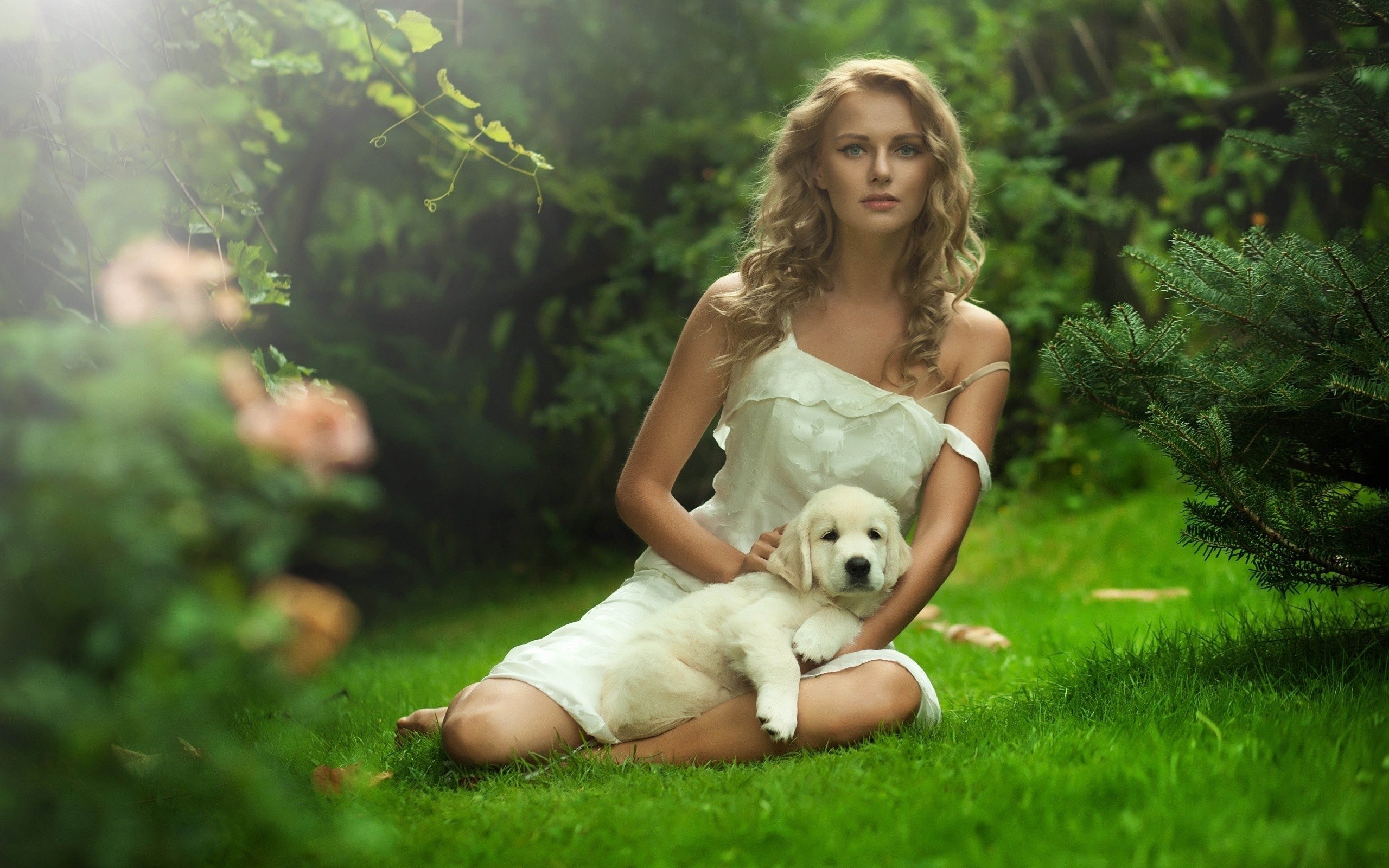 Woman holding a golden retriever puppy in a garden HD Wallpaper