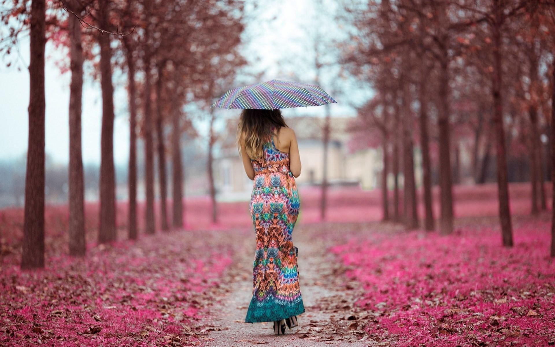 Woman with umbrella walking on path lined with trees HD Wallpaper