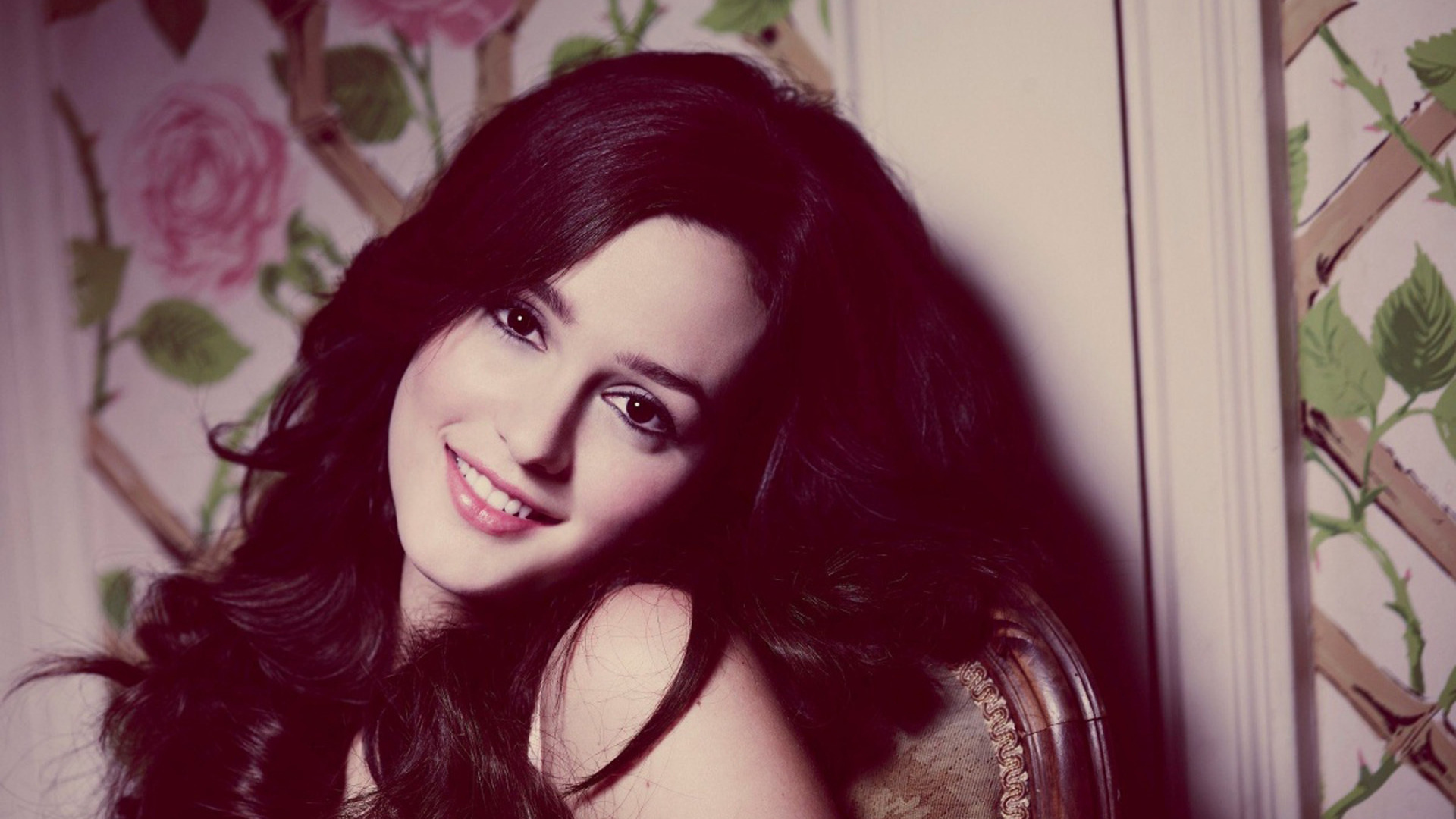 Leighton Meester HD Wallpaper