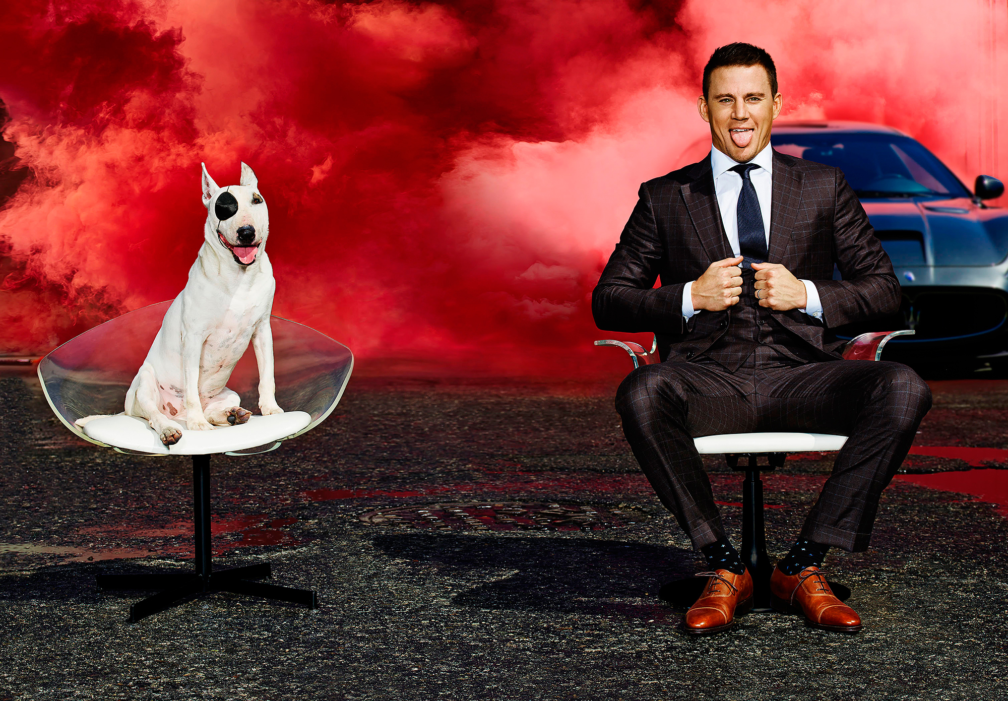Channing Tatum and a Bull Terrier HD Wallpaper