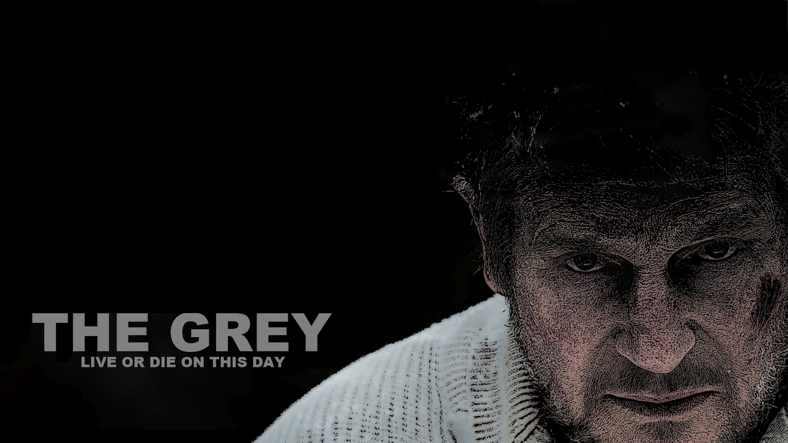 The Grey Movie Poster HD Wallpaper