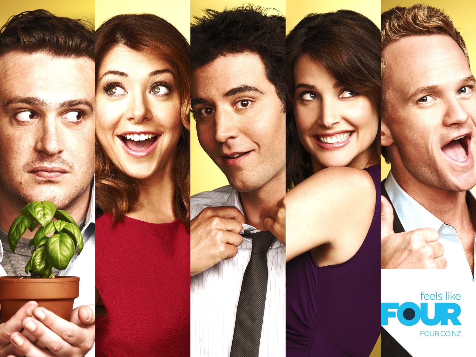 How I Met Your Mother cast HD Wallpaper