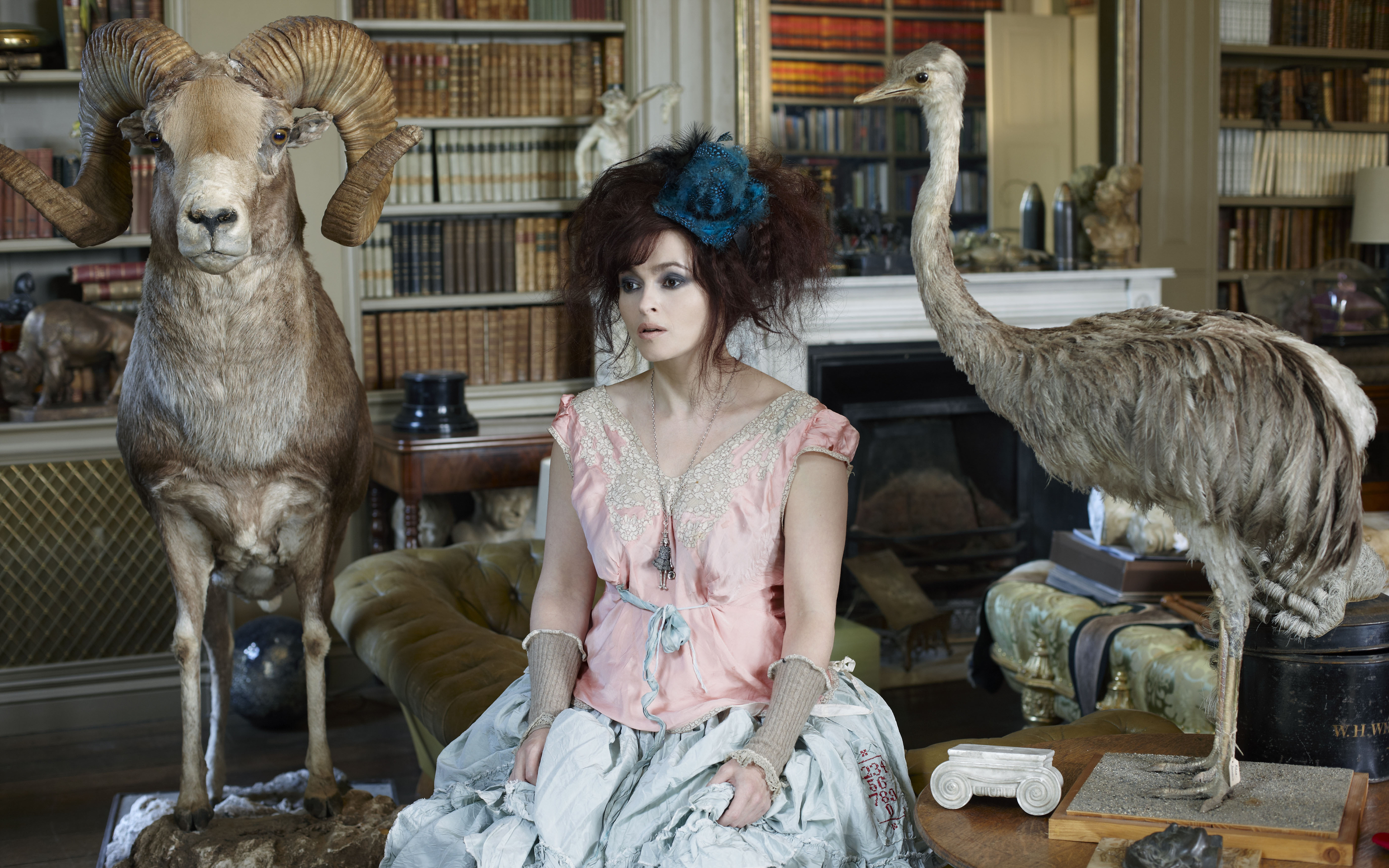 Helena Bonham Carter with taxidermied animals HD Wallpaper