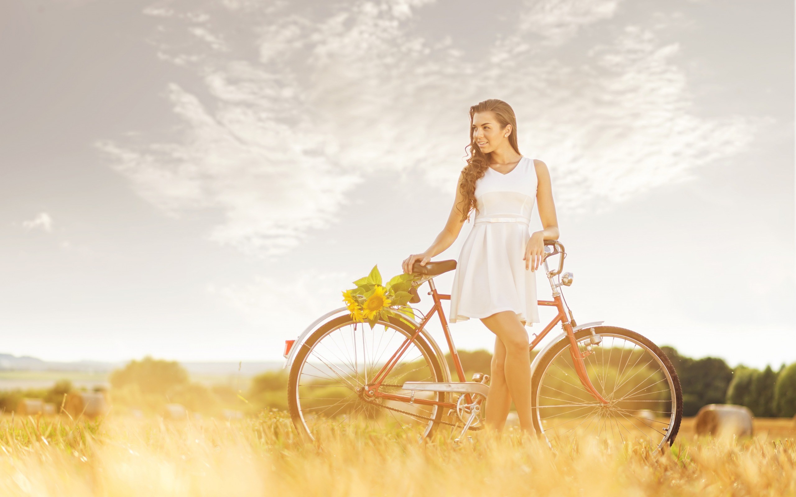 Woman with sunflowers and bicycle in a field HD Wallpaper