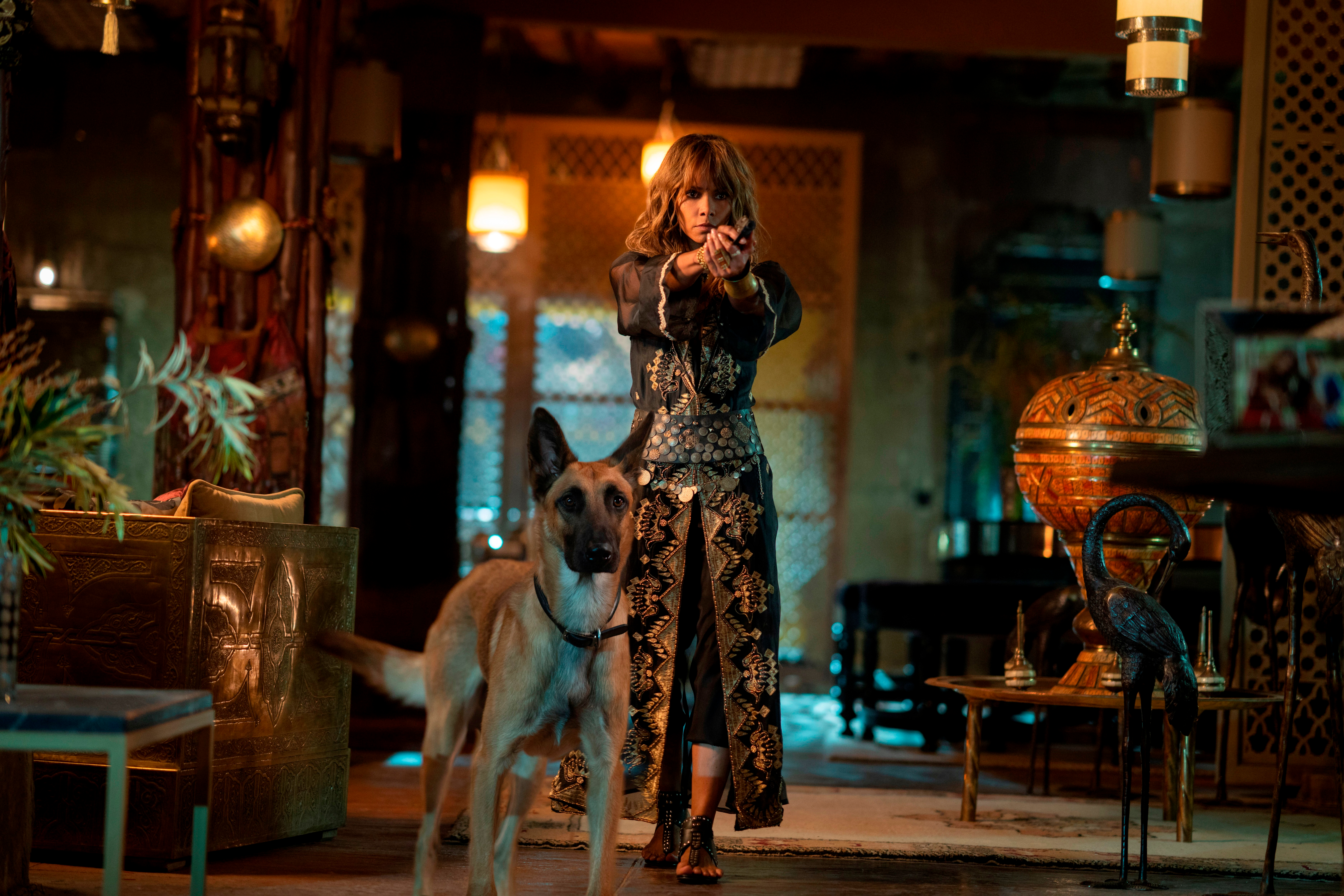 Halle Berry with dog HD Wallpaper