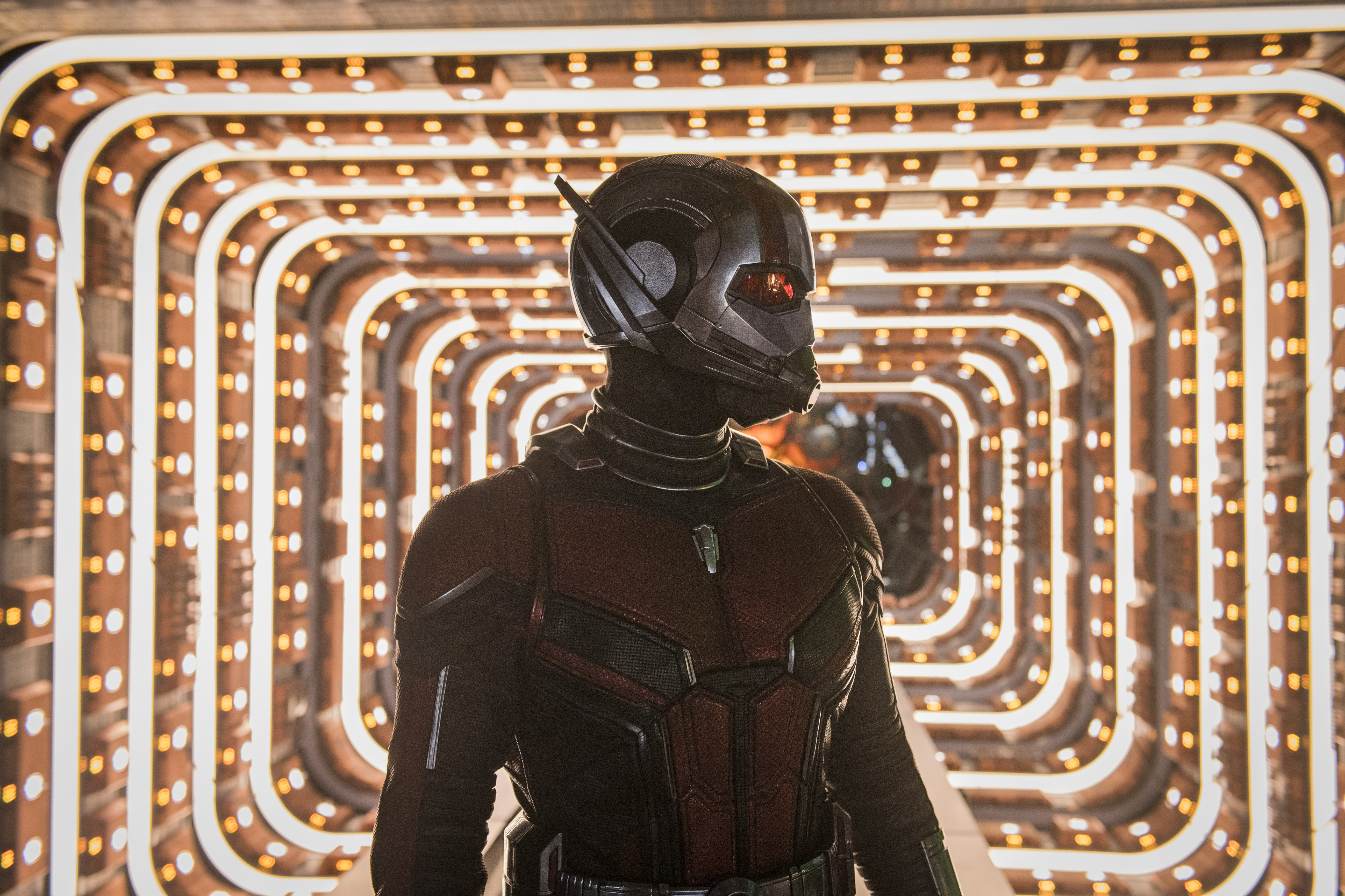 Ant-Man from Marvel Cinematic Universe HD Wallpaper