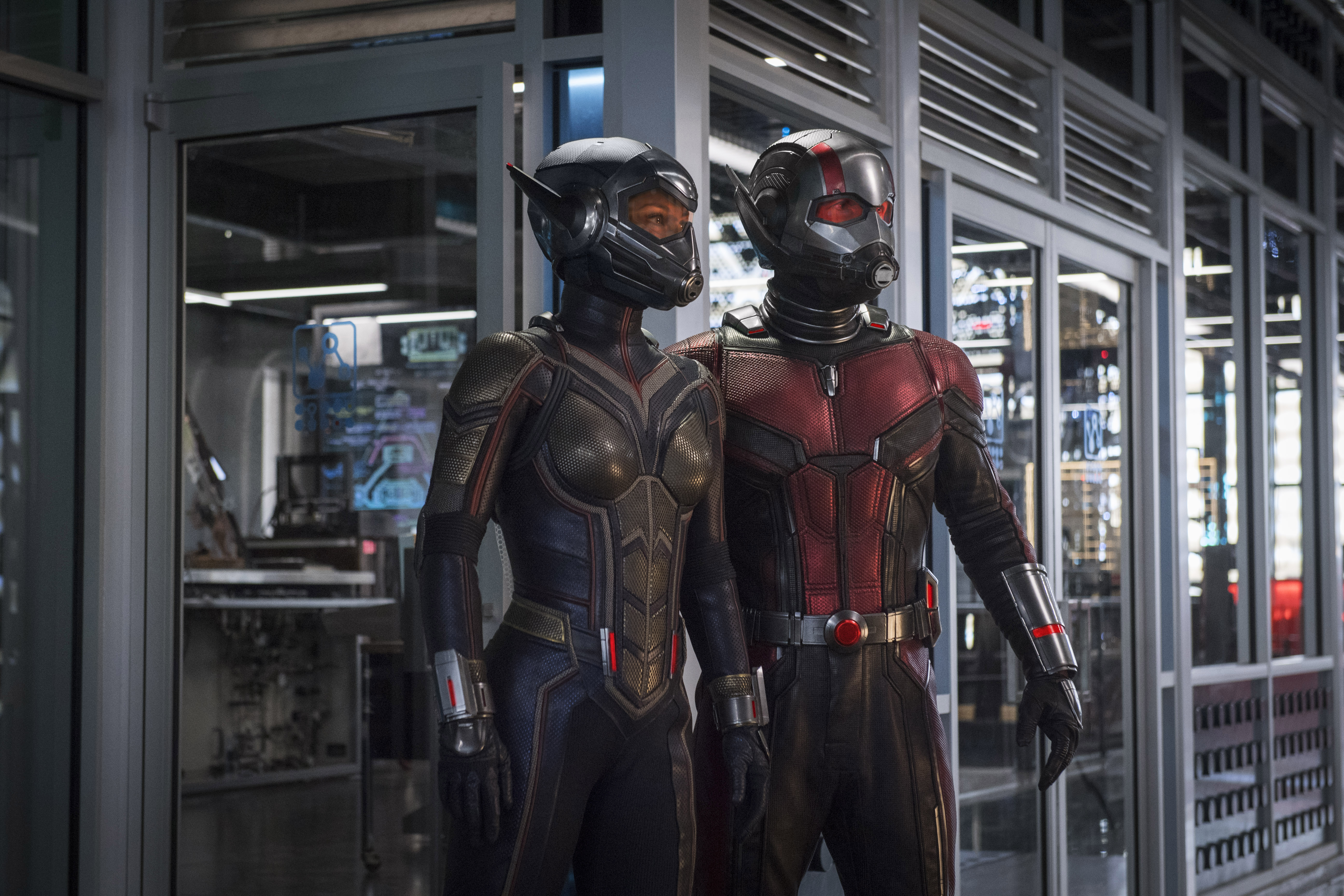 The Wasp and Ant-Man from Ant-Man and the Wasp HD Wallpaper