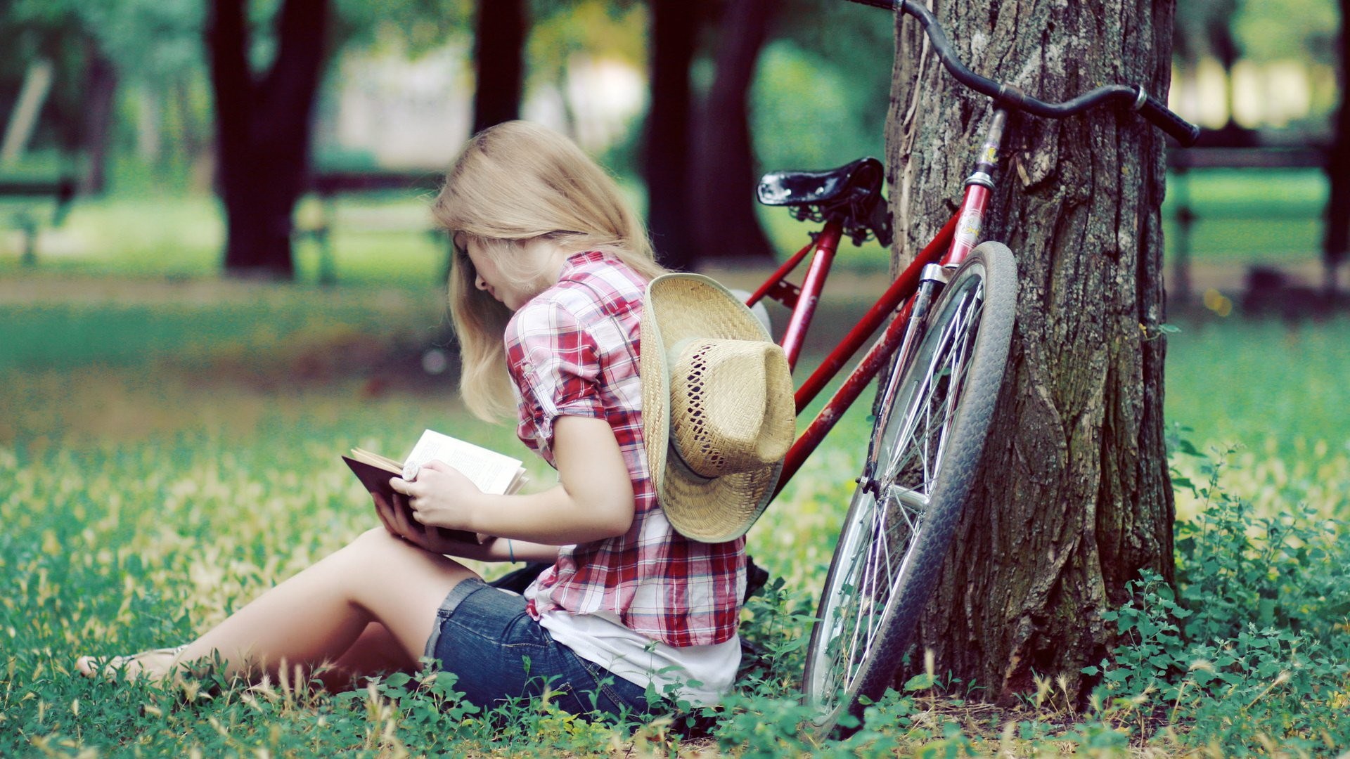 Girl reading a book by a tree with a bicycle HD Wallpaper