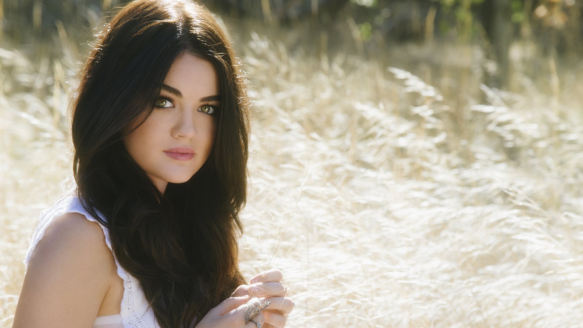 Lucy Hale in a field of tall grass HD Wallpaper