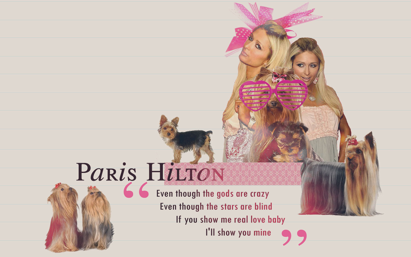 Paris Hilton with Yorkshire Terriers HD Wallpaper
