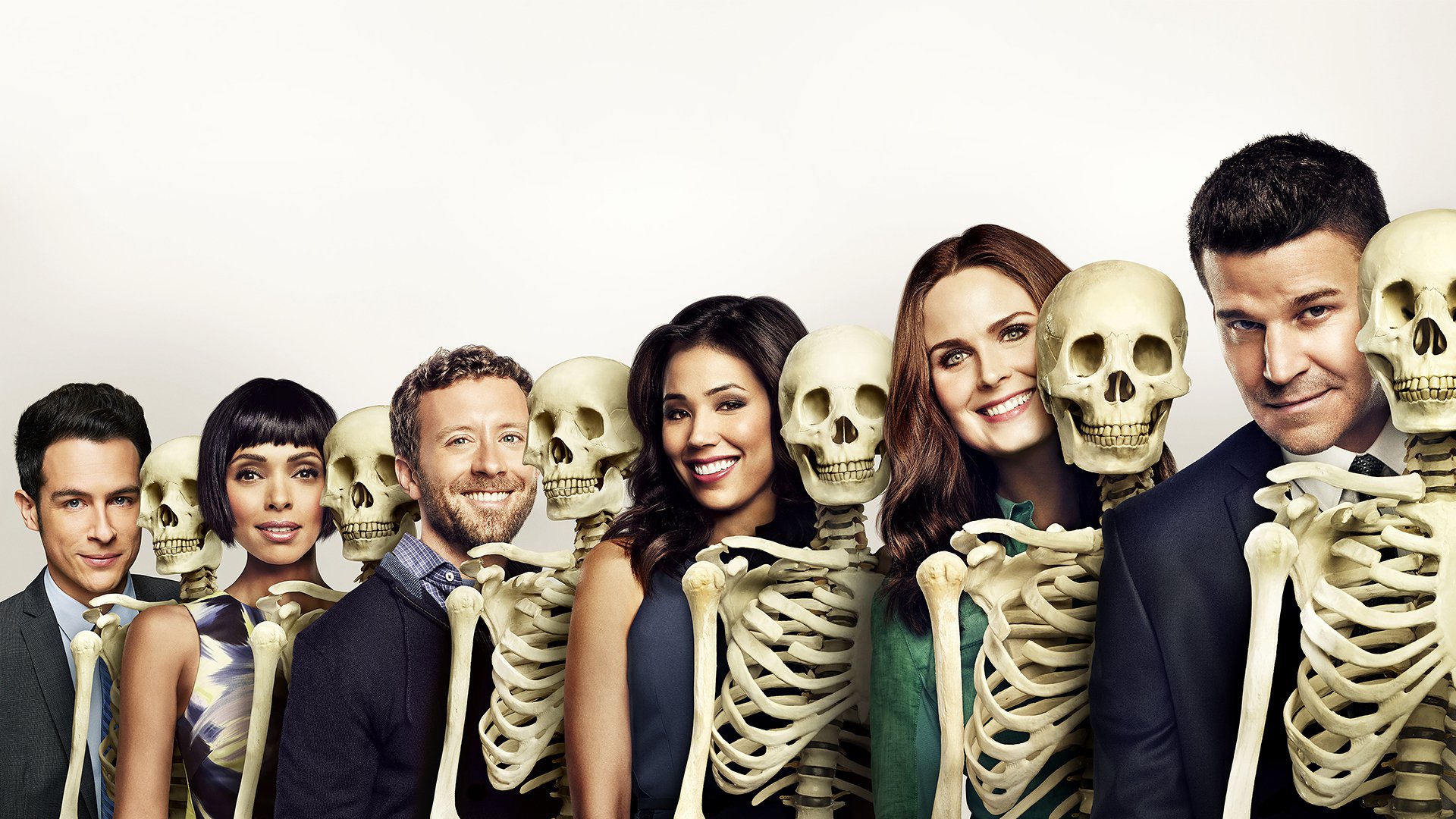 Bones cast with skeletons HD Wallpaper
