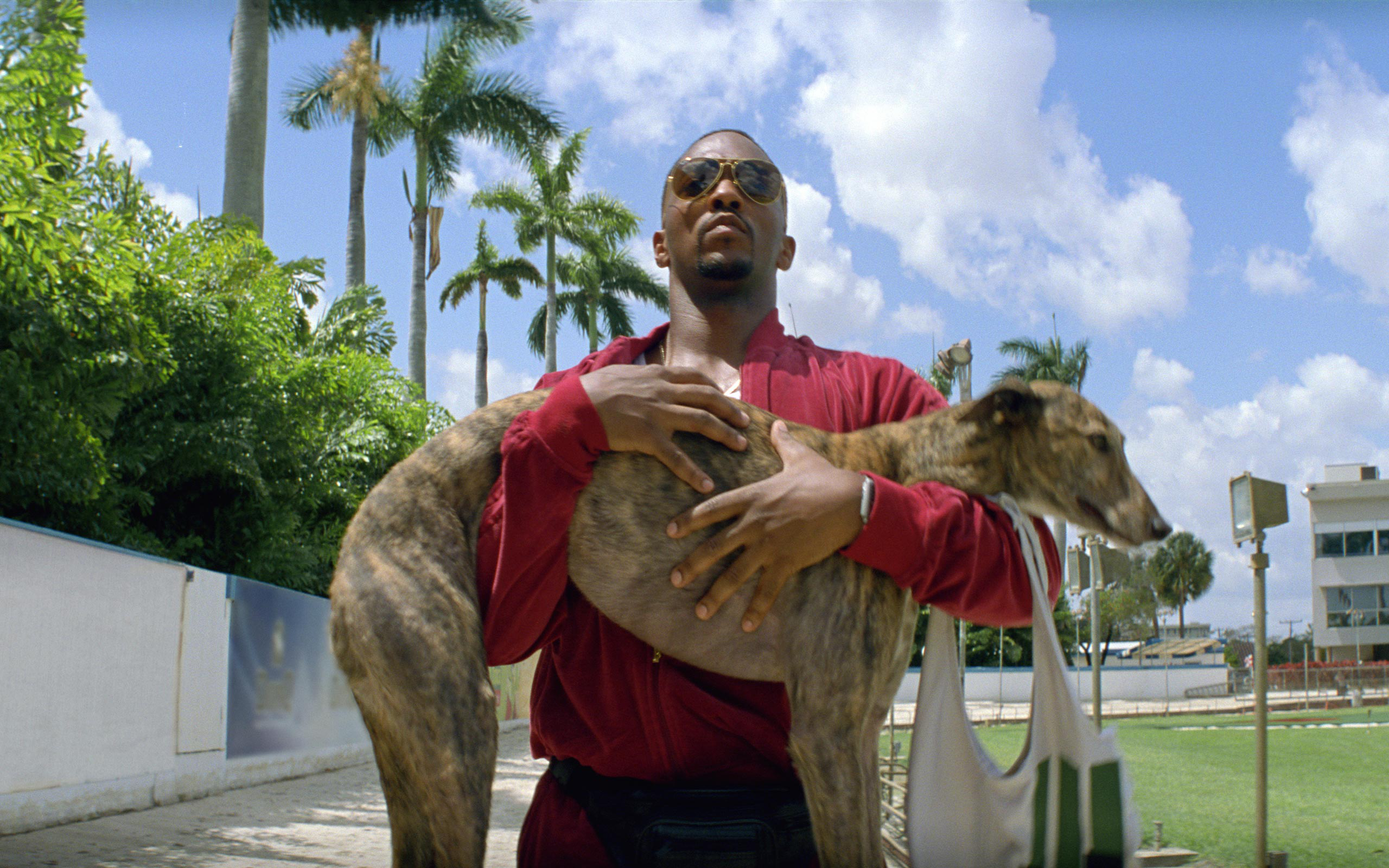 Anthony Mackie holding a greyhound HD Wallpaper