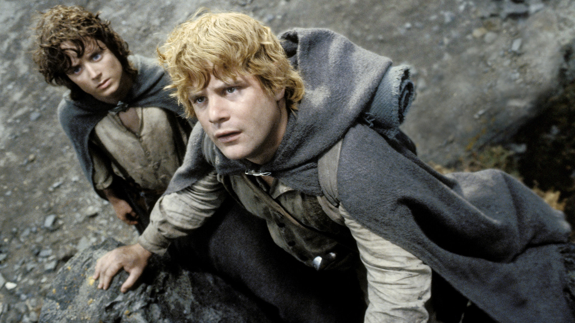 Frodo and Sam from The Lord of the Rings HD Wallpaper