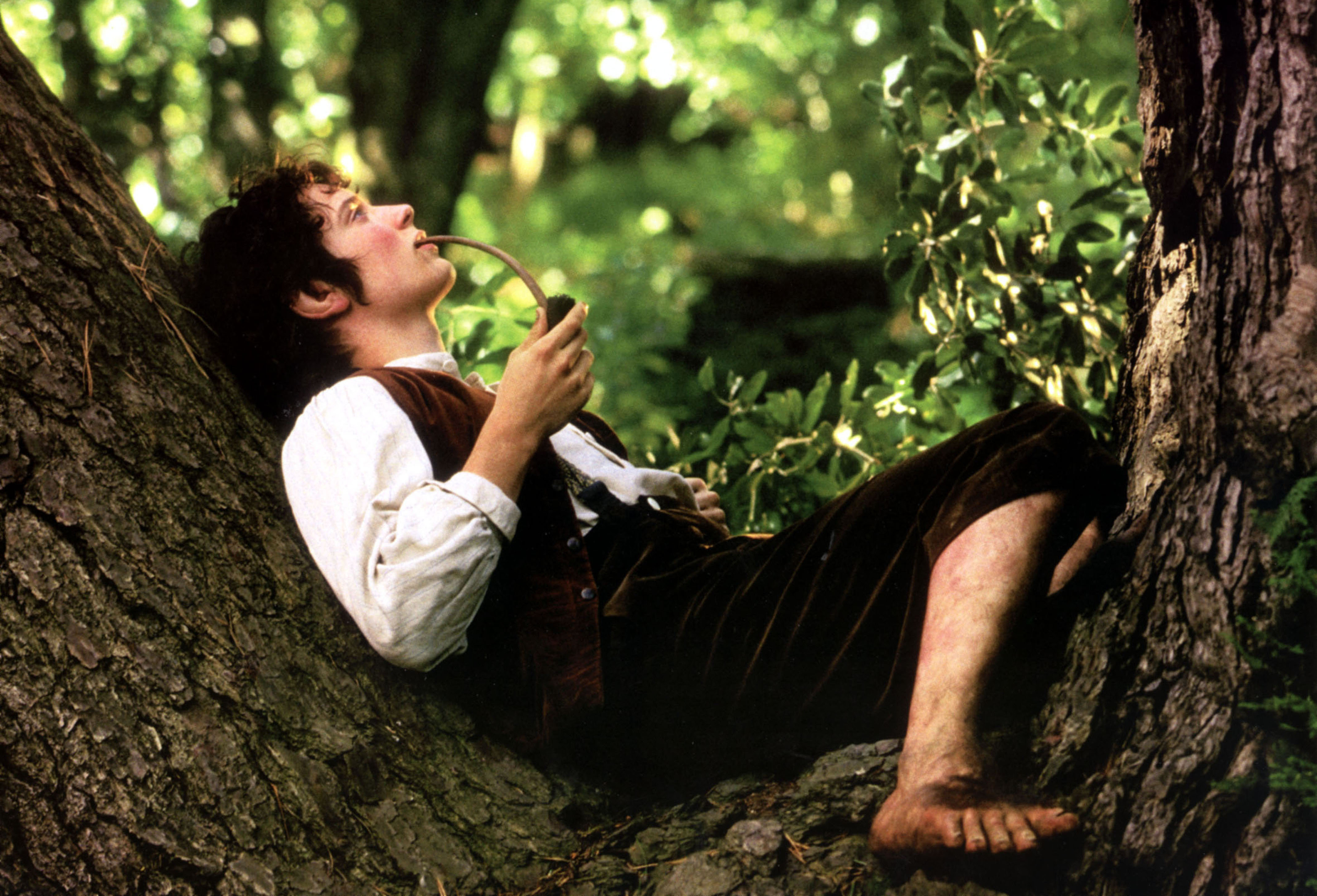 Elijah Wood as Frodo Baggins in The Lord of the Rings HD Wallpaper