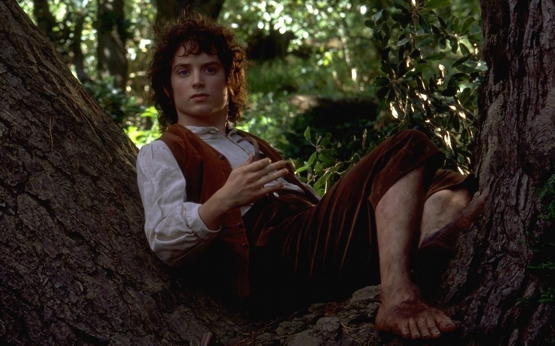 Frodo Baggins from The Lord of the Rings HD Wallpaper