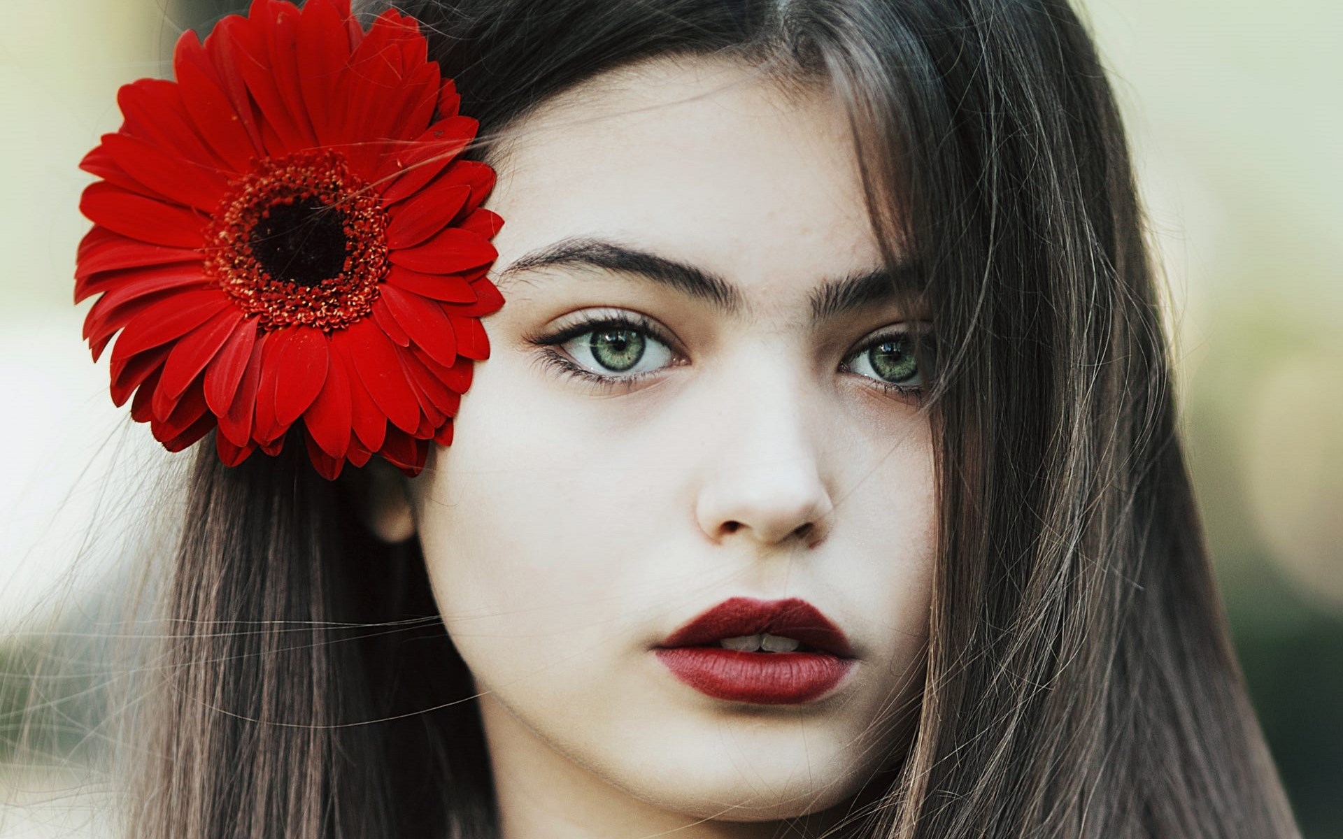 Woman with red flower in hair HD Wallpaper
