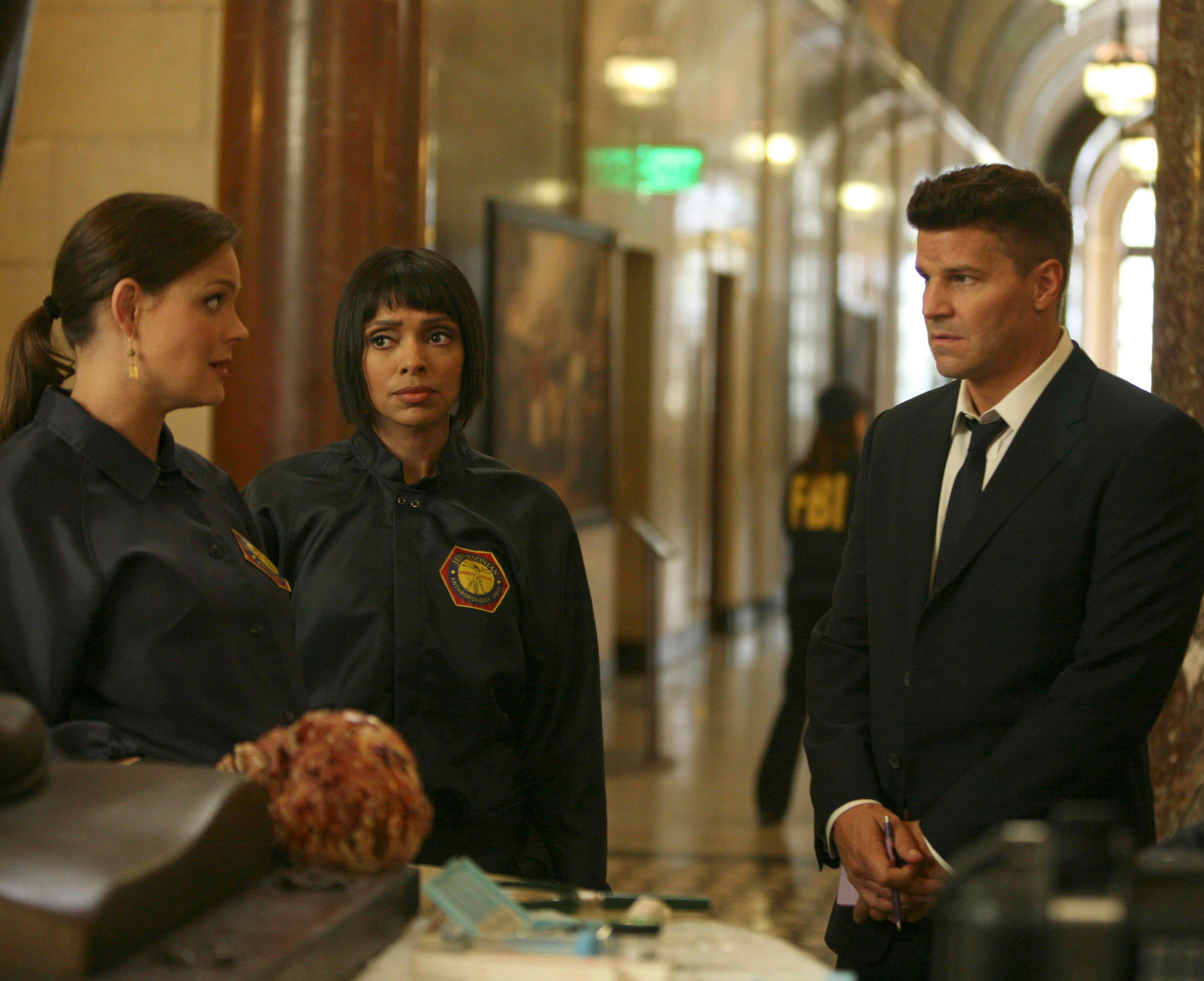 Tamara Taylor and David Boreanaz in Bones HD Wallpaper