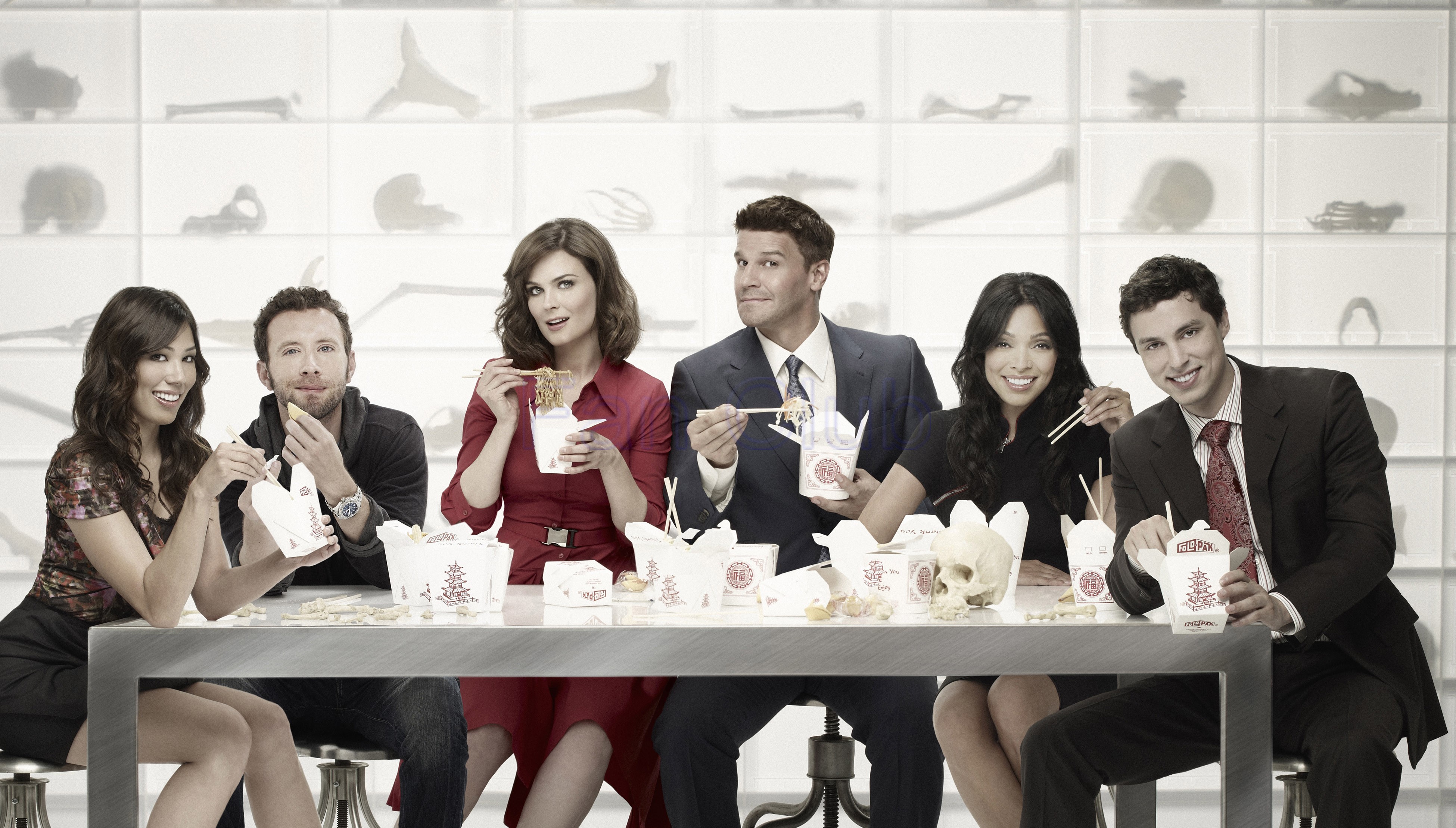 Bones cast eating from takeout containers HD Wallpaper
