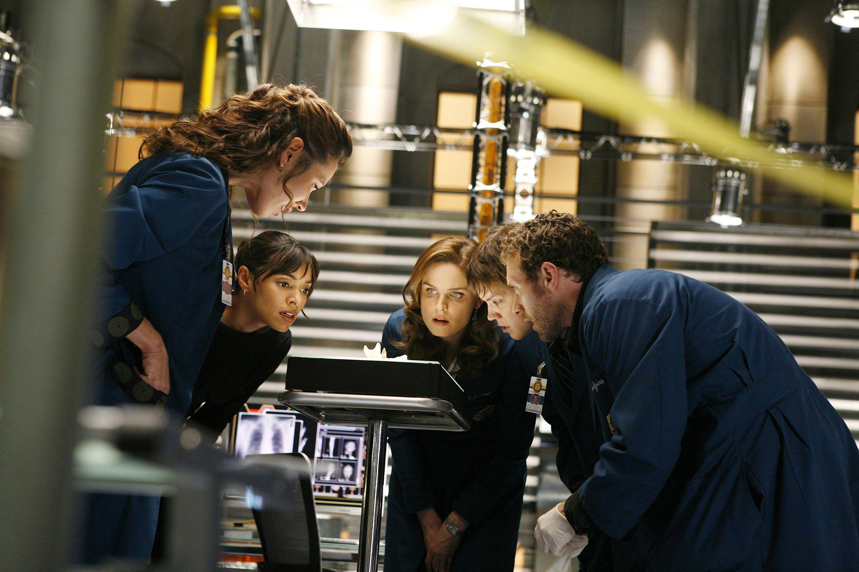 Tamara Taylor and colleagues examining a screen HD Wallpaper