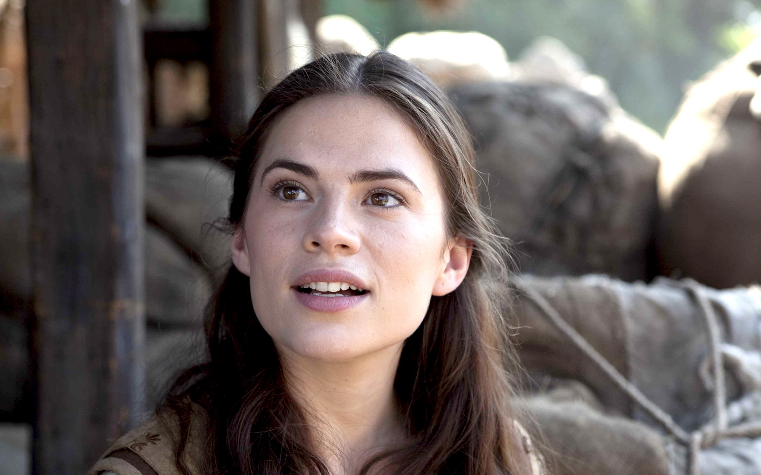 Hayley Atwell HD Wallpaper