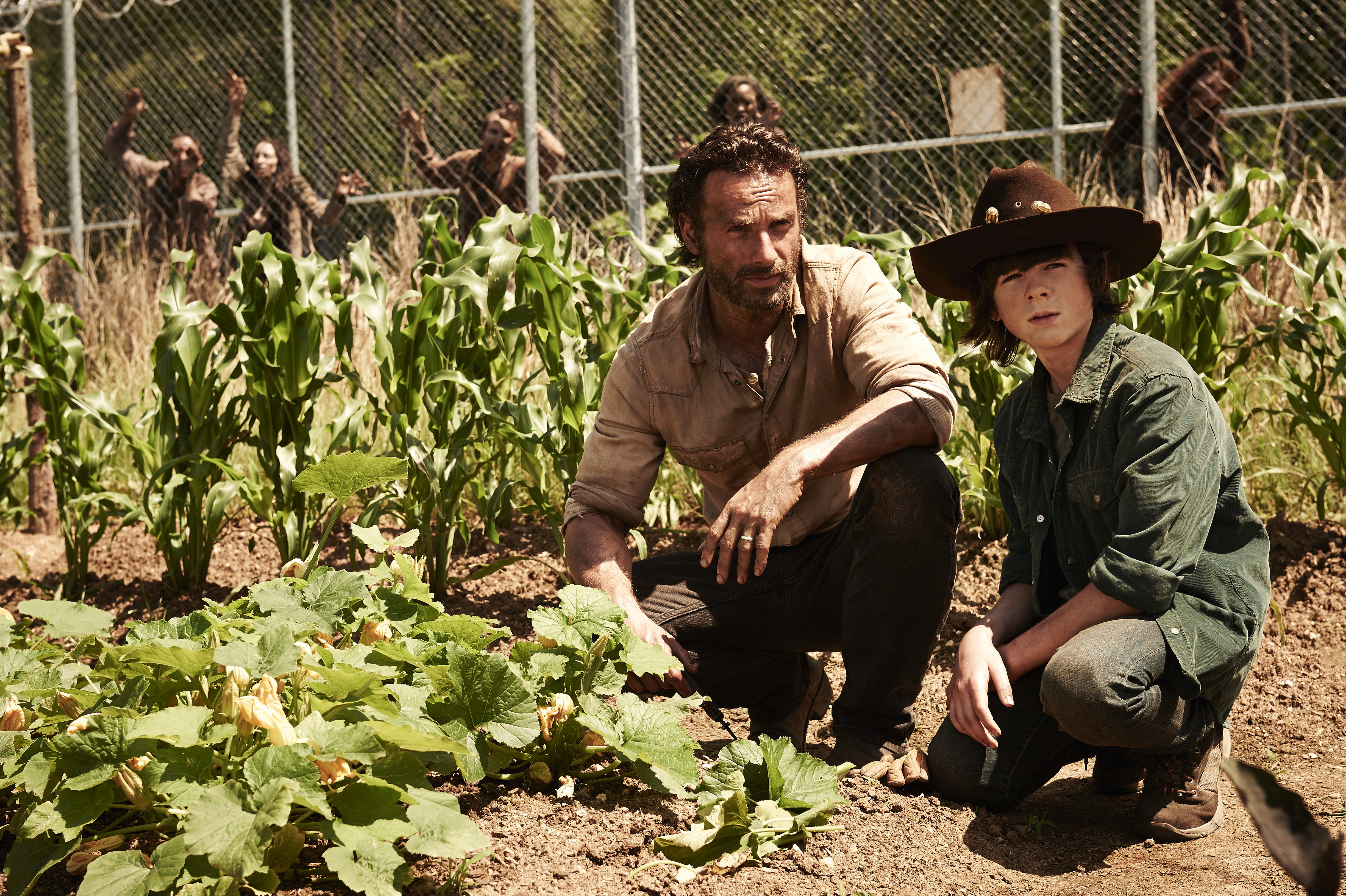 Rick and Carl in a garden with walkers behind a fence HD Wallpaper