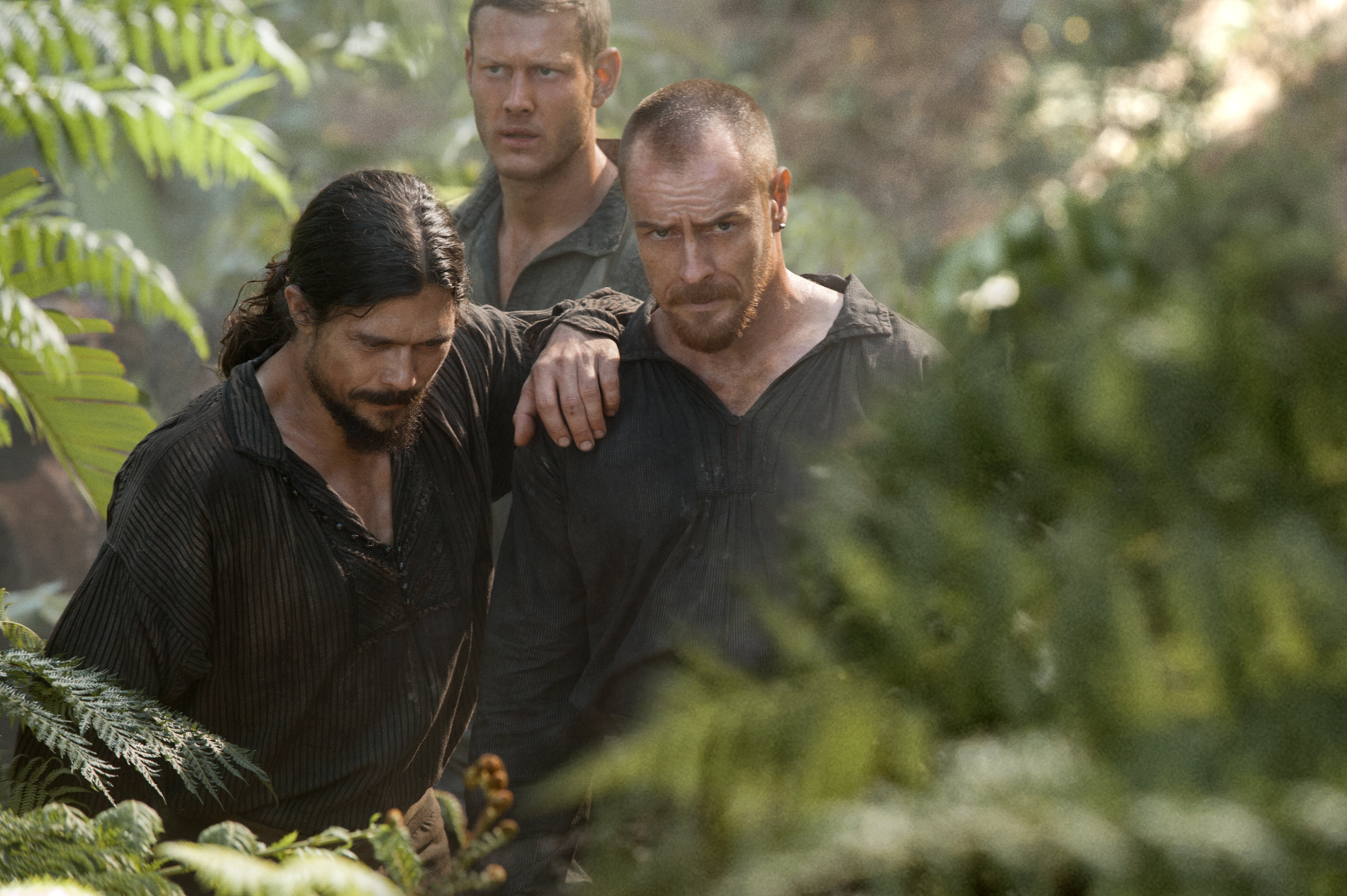 Three men in a jungle HD Wallpaper