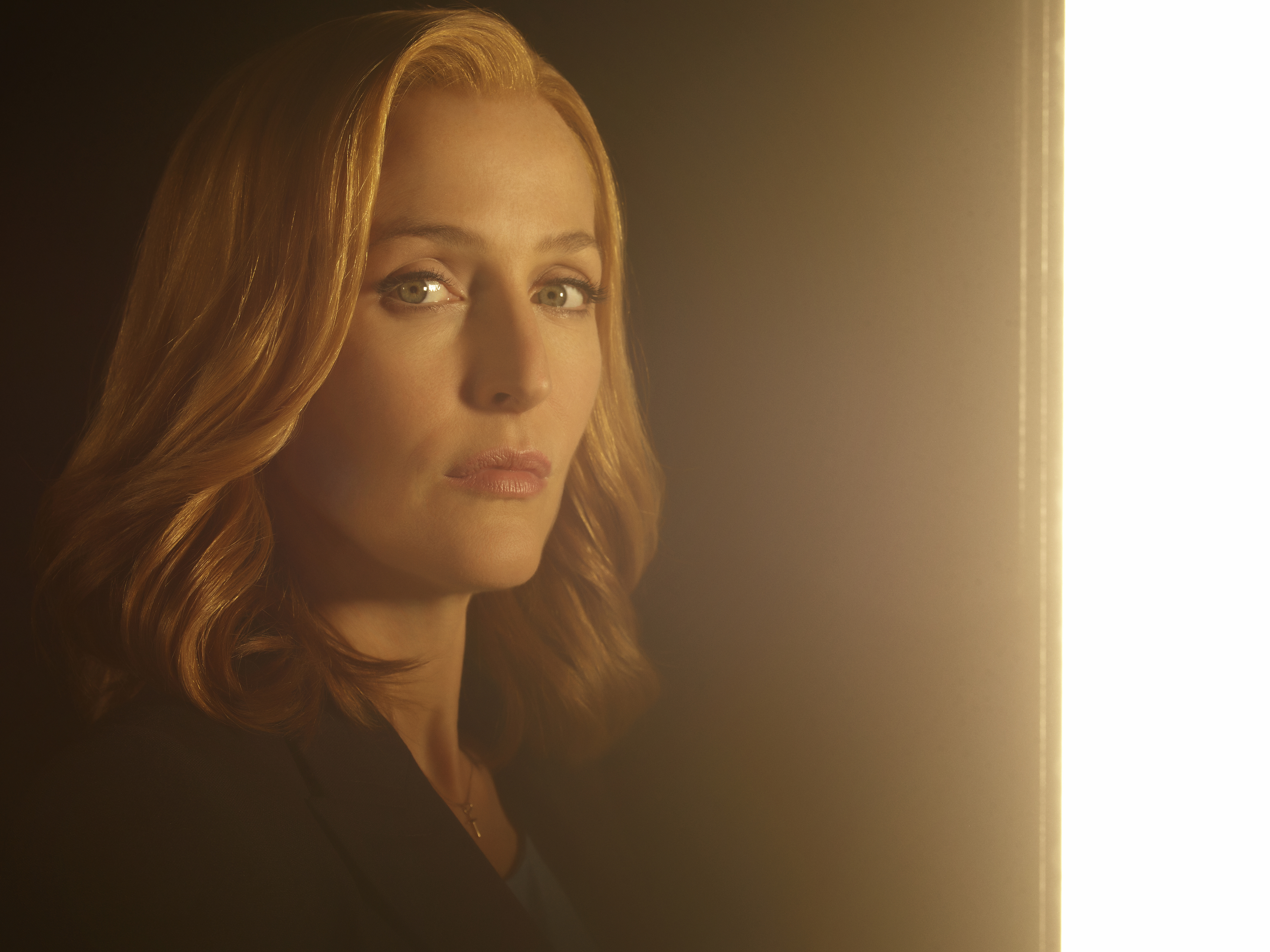 Gillian Anderson HD Wallpaper