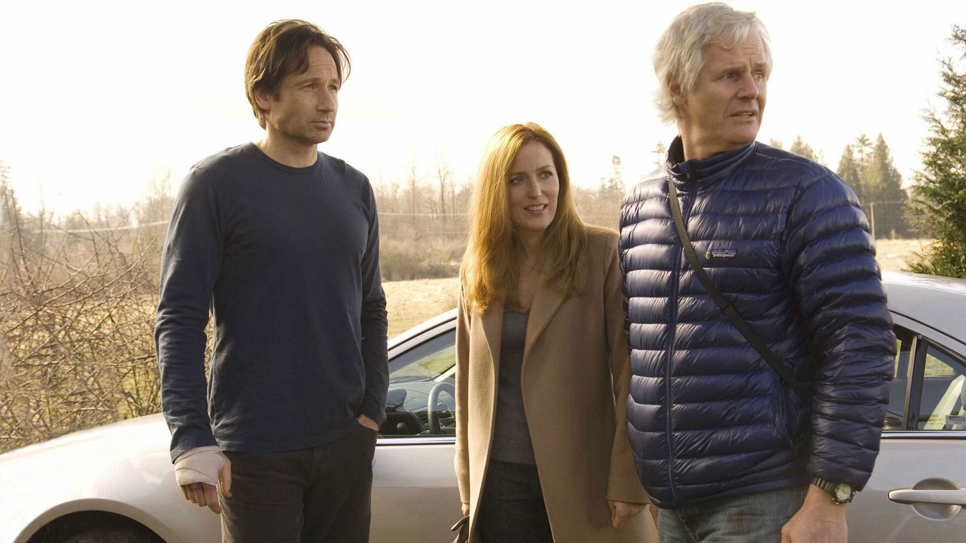 David Duchovny, Gillian Anderson, and Mitch Pileggi HD Wallpaper