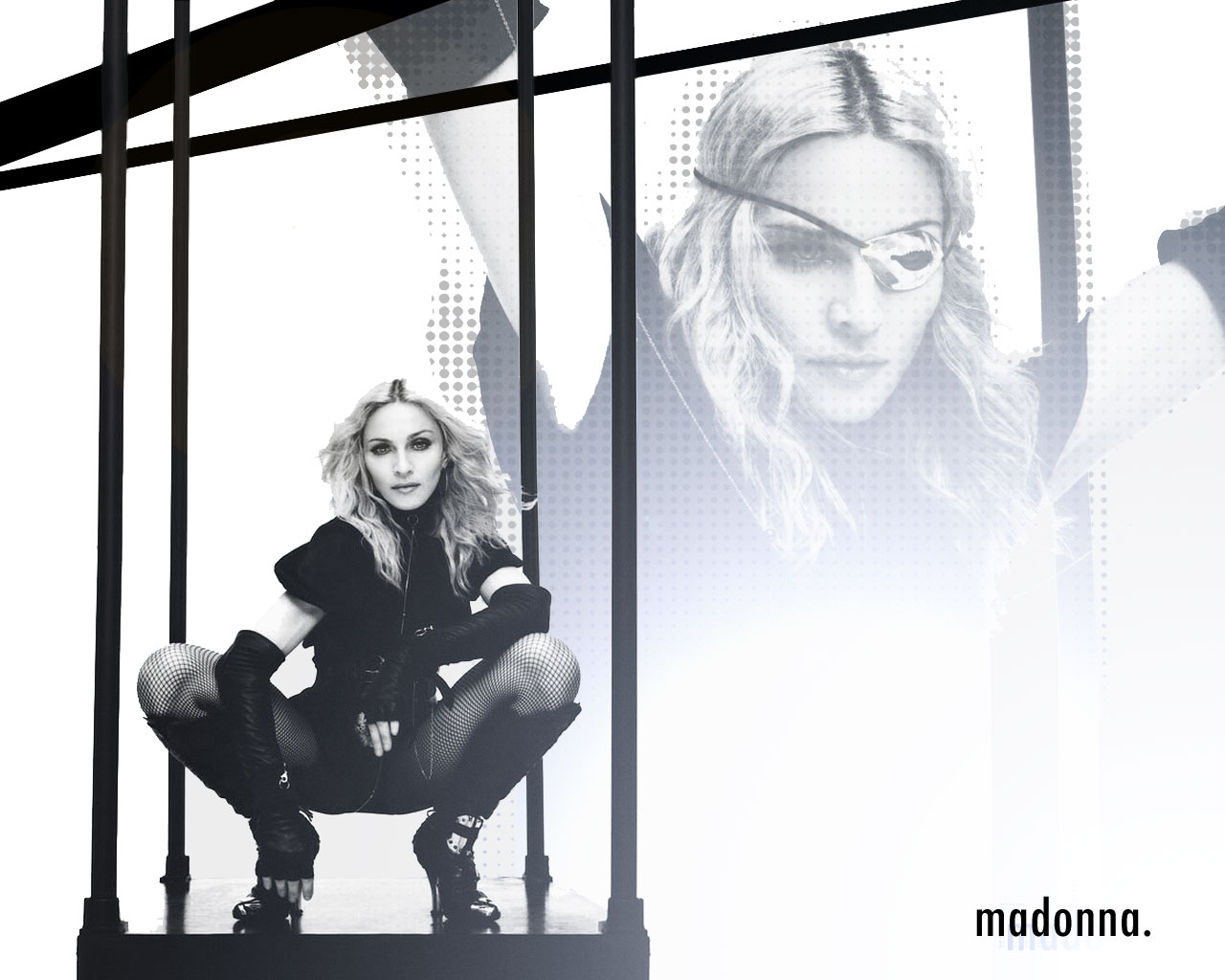 Madonna in a cage HD Wallpaper