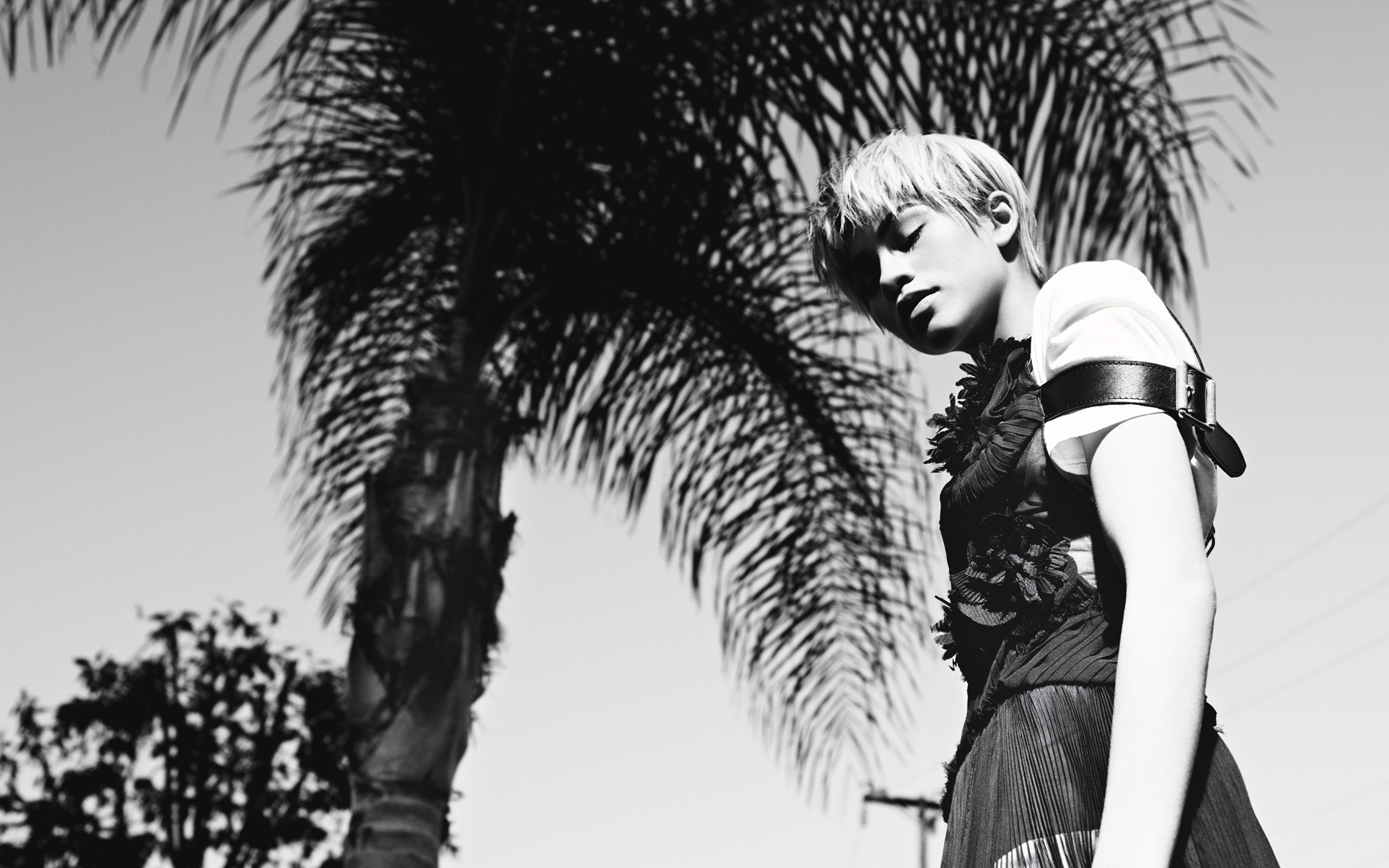 Zendaya posing in front of palm trees HD Wallpaper
