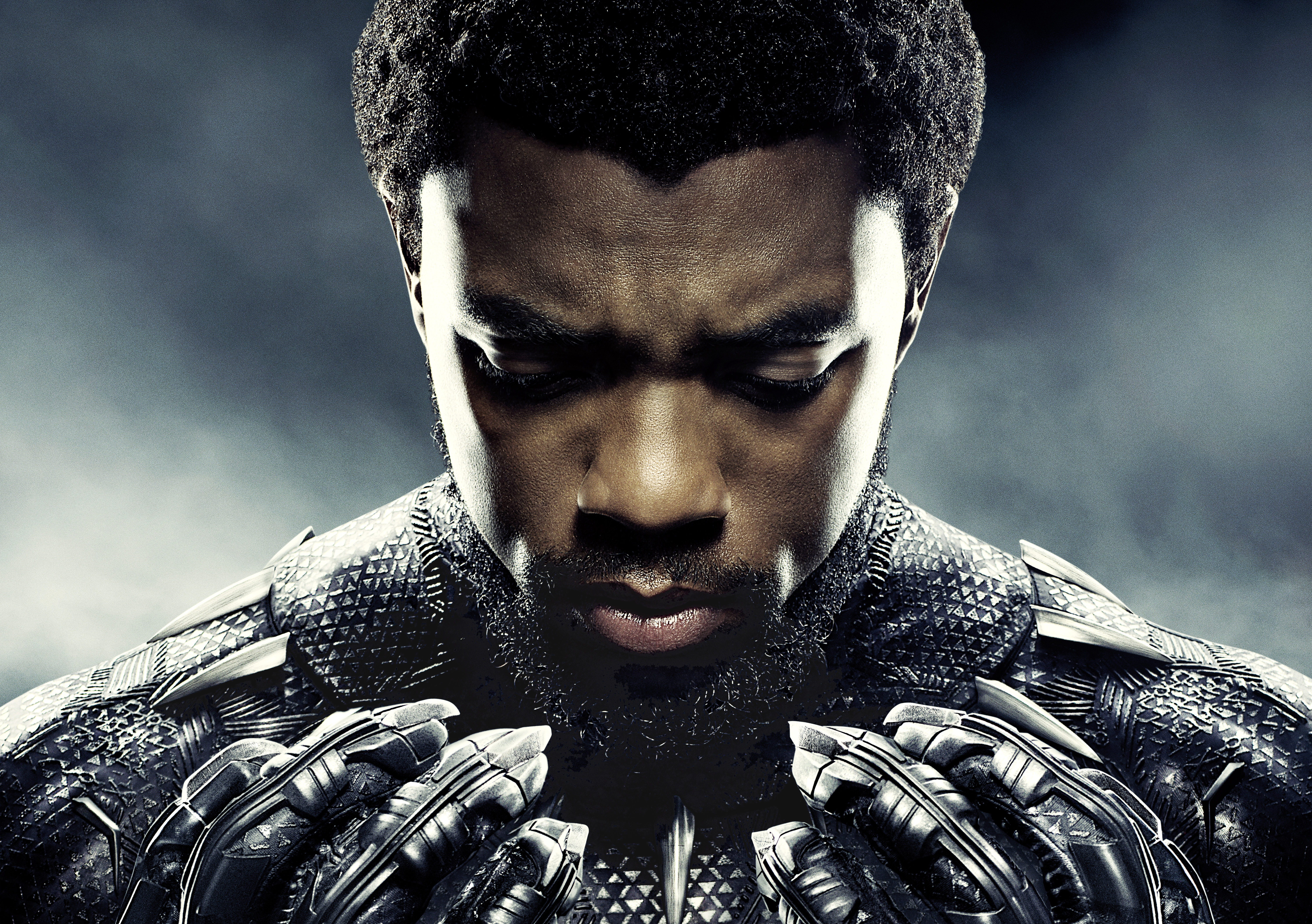 Chadwick Boseman as Black Panther HD Wallpaper