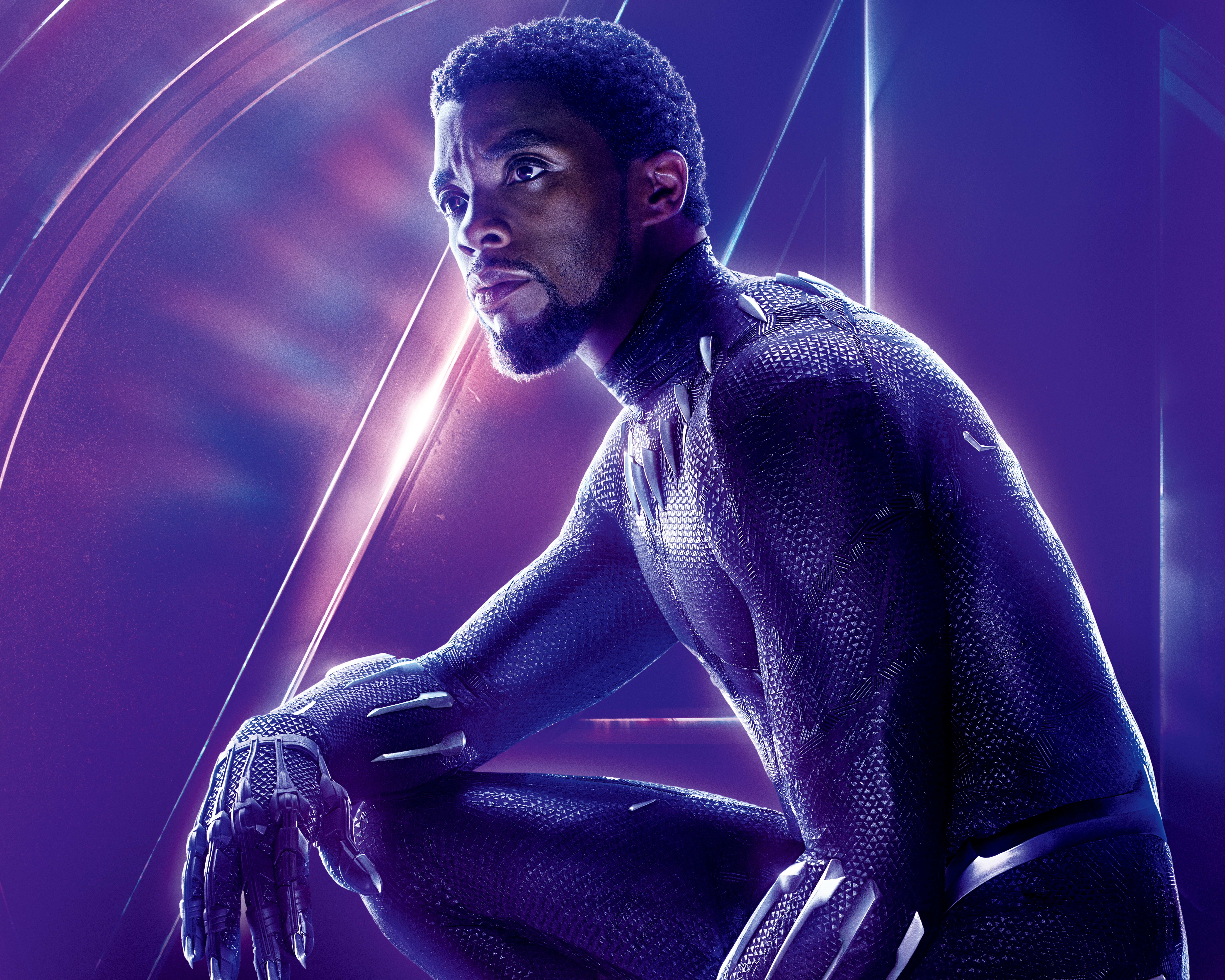 Black Panther from Marvel Cinematic Universe HD Wallpaper