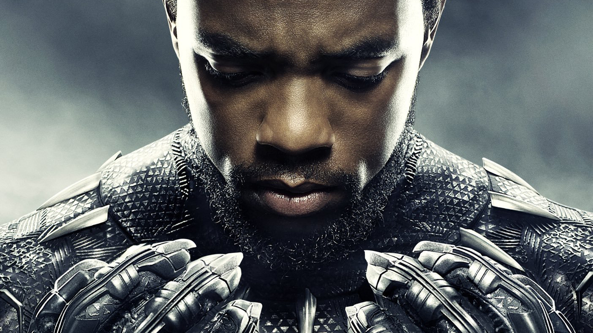 Chadwick Boseman as Black Panther HD Wallpaper