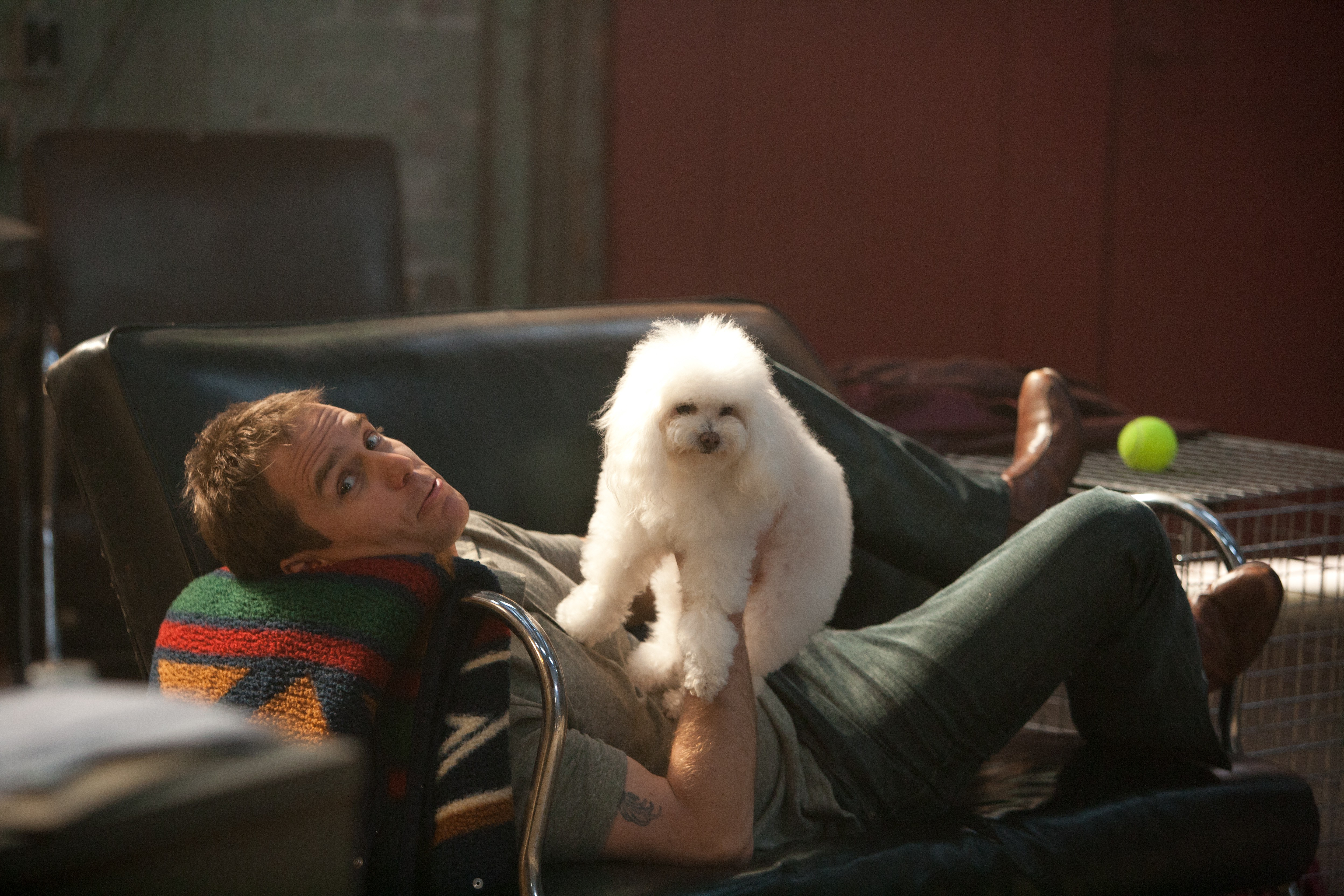 Sam Rockwell with a white poodle HD Wallpaper