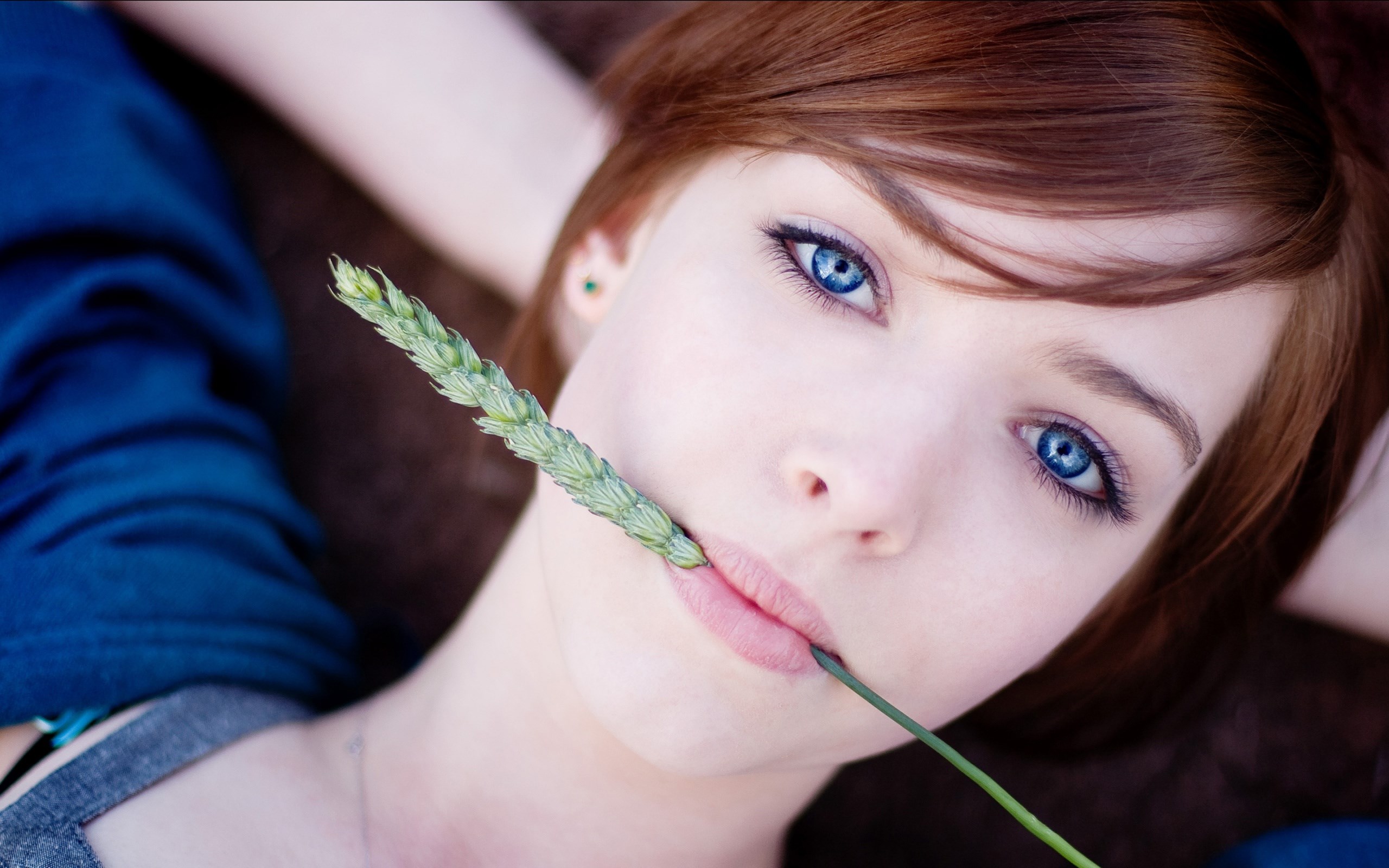 Young woman with blue eyes holding a wheat stalk HD Wallpaper